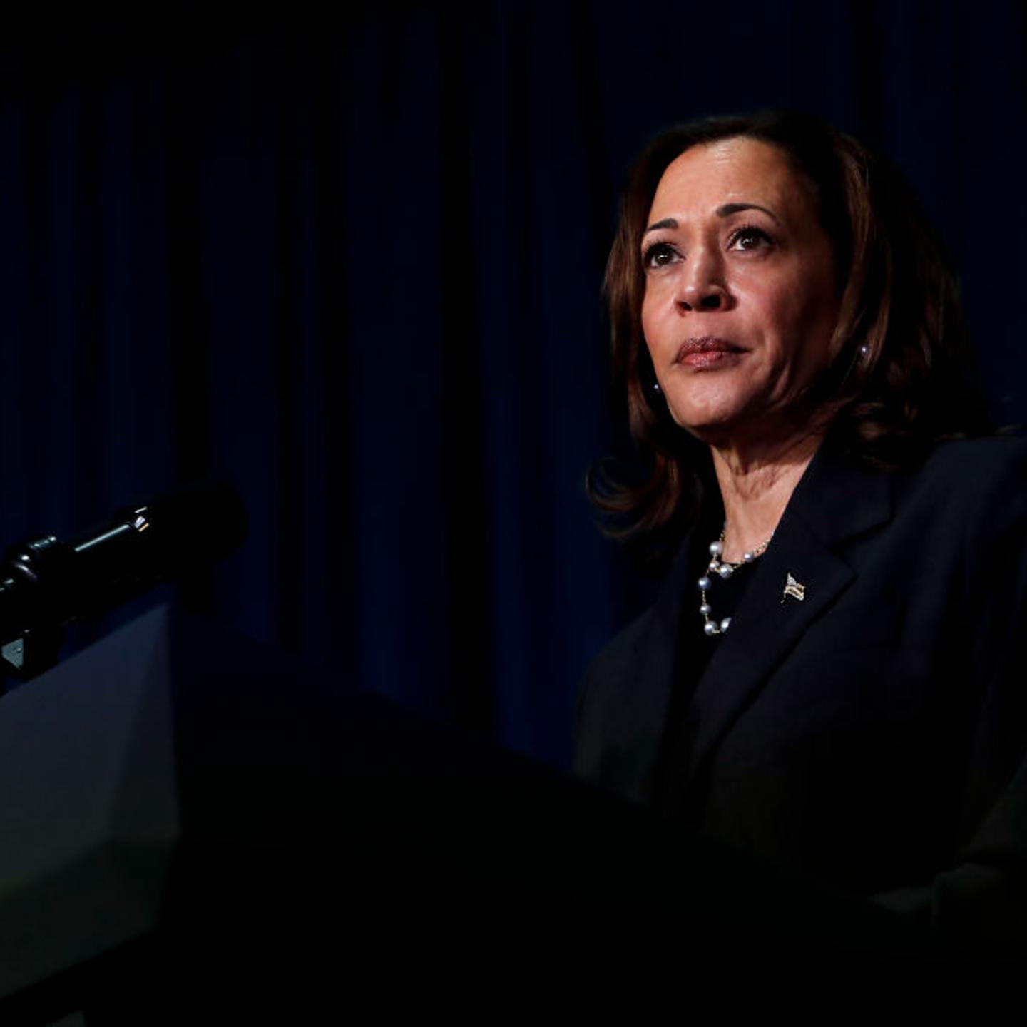 U.S. Vice President Kamala Harris attends a moderated conversation in Kalamazoo, Mich., on July 17, 2024.