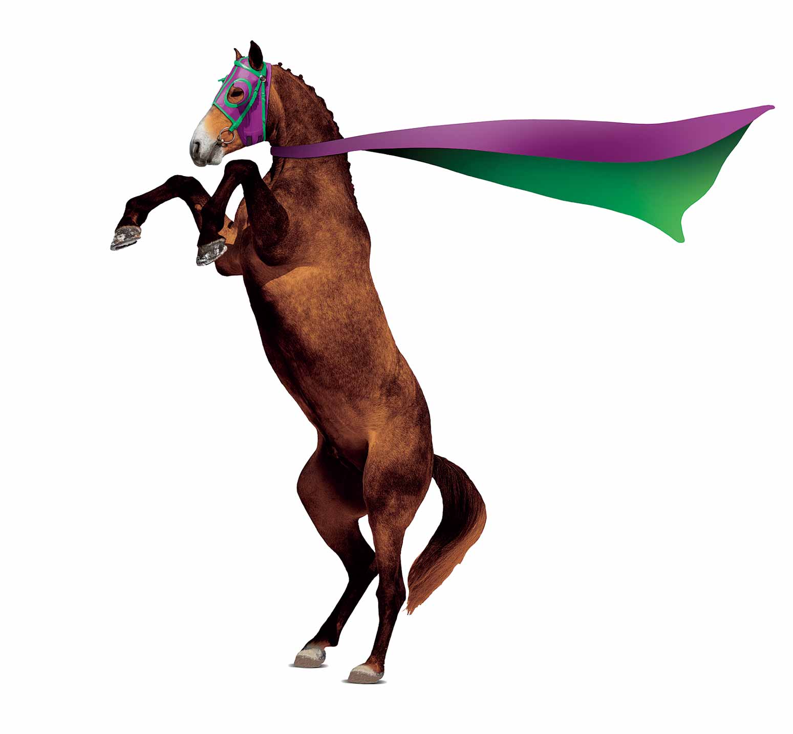 Tomasz Walenta Horse Illustration