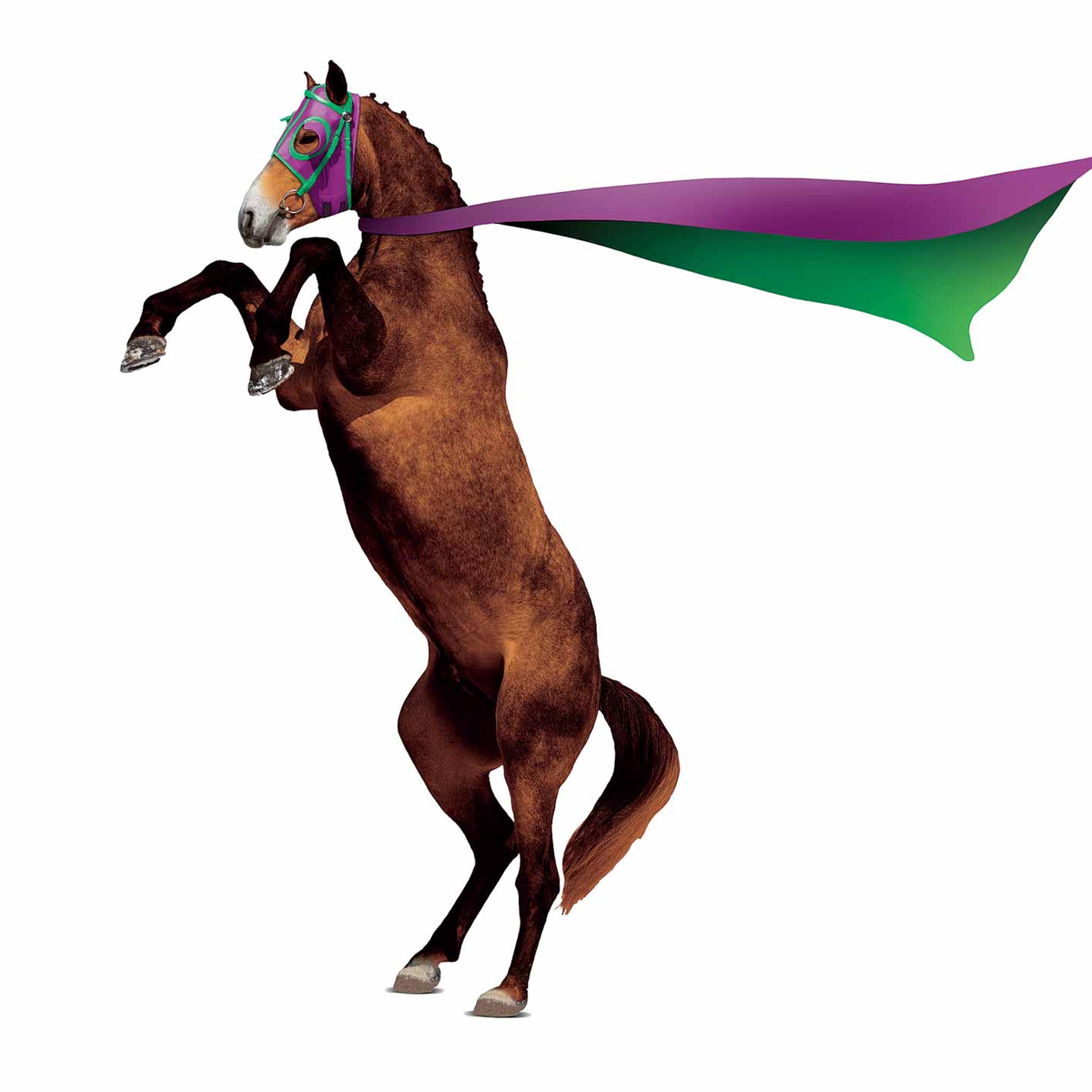 Tomasz Walenta Horse Illustration