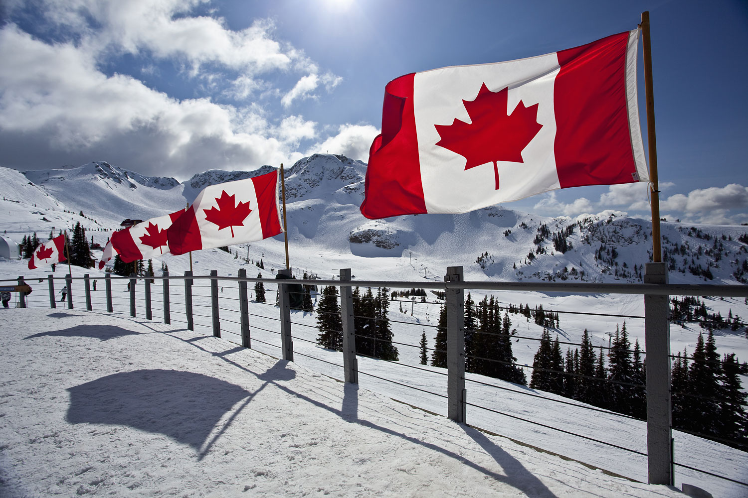 Canadian flags