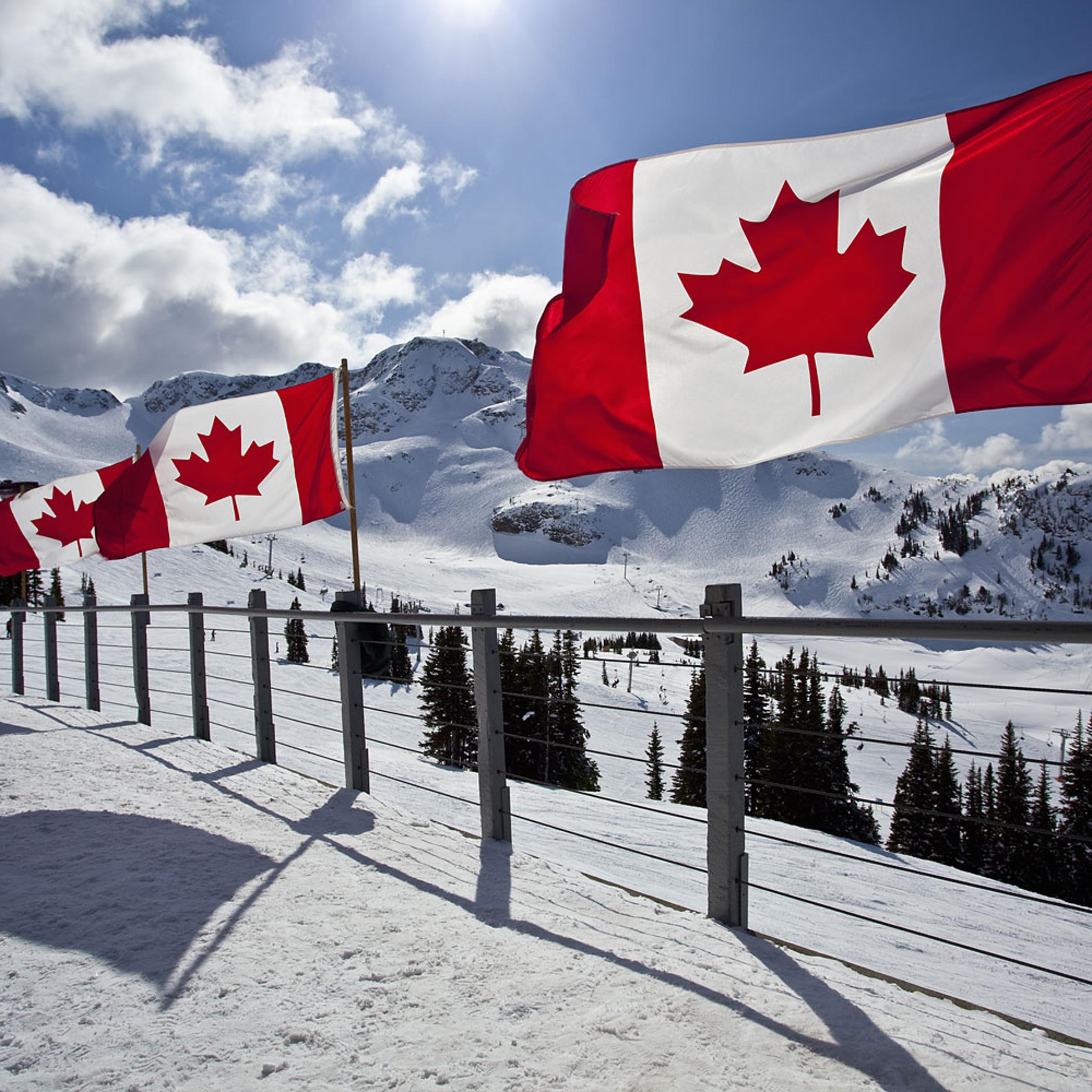 Canadian flags