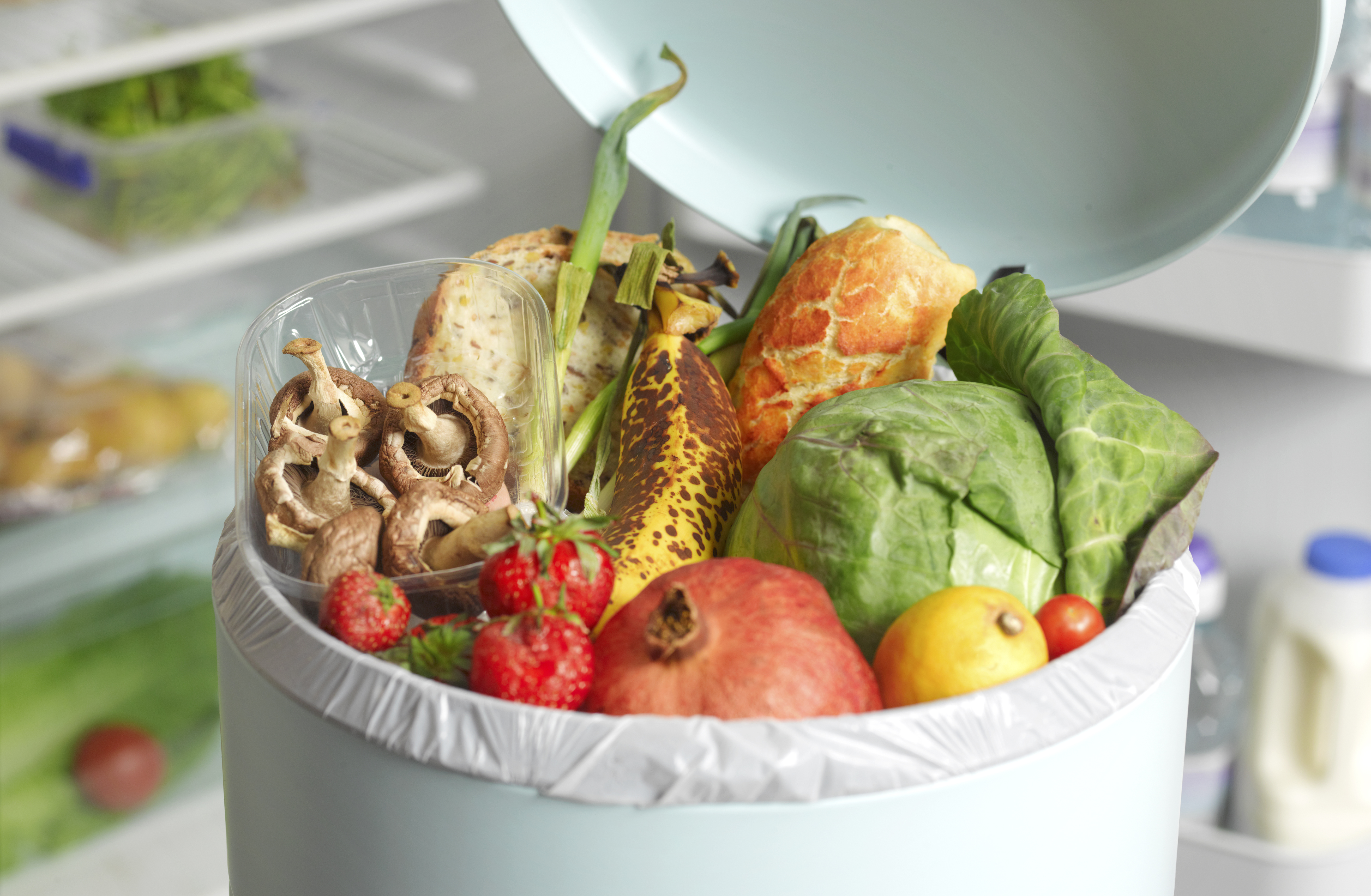 Food waste
