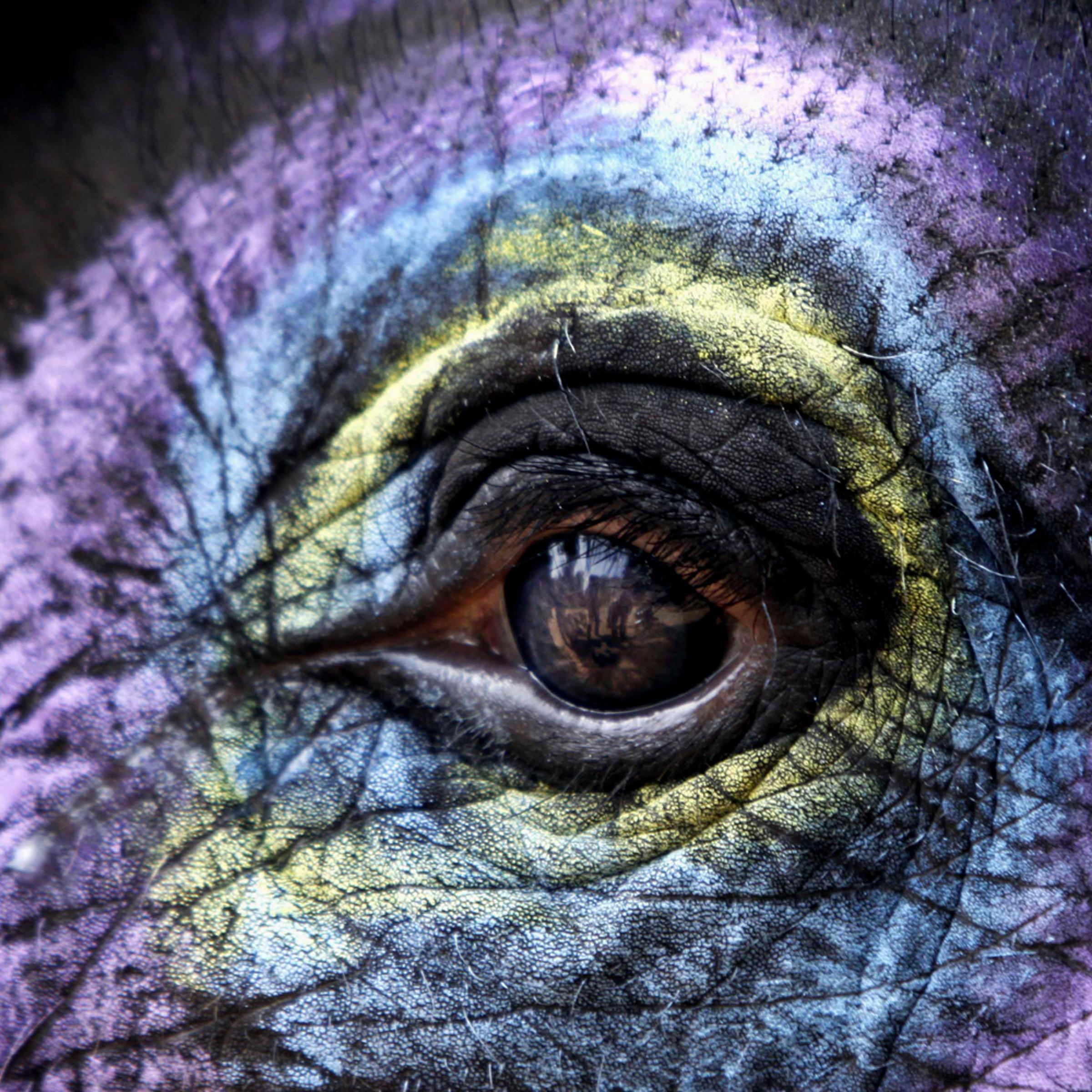 India Wildlife Week