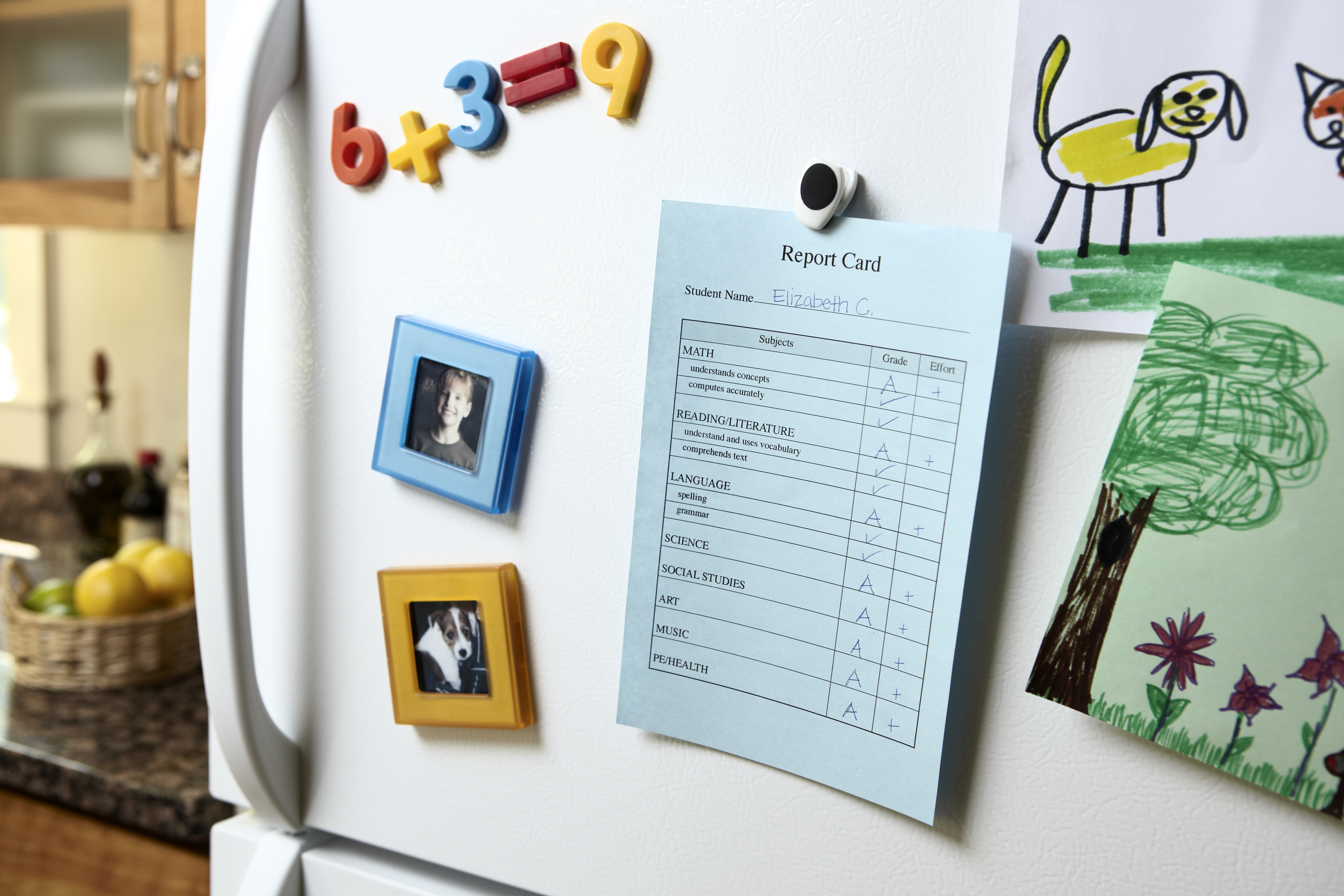 Report Card on Refrigerator