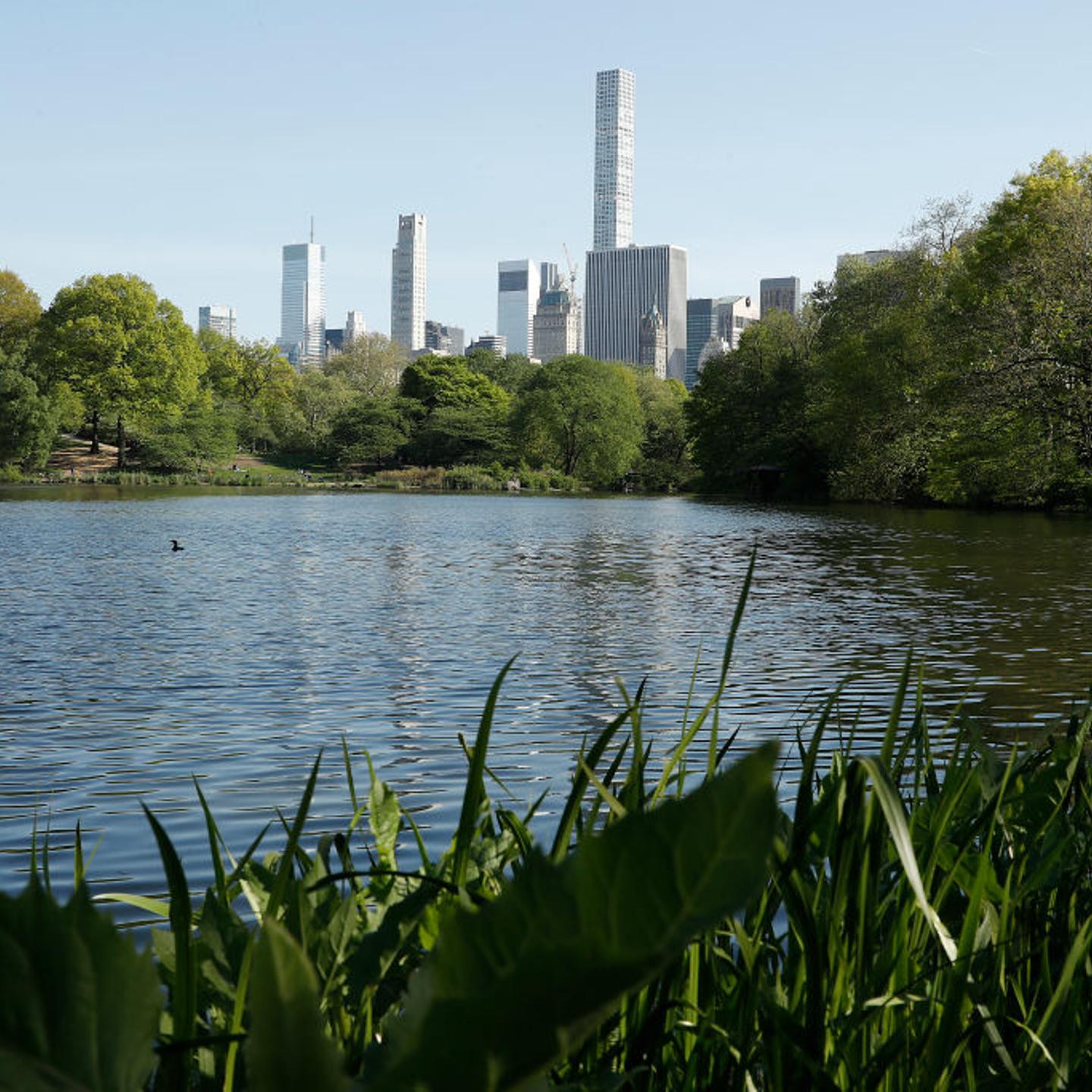 Daily Life In New York City Amid Coronavirus Outbreak