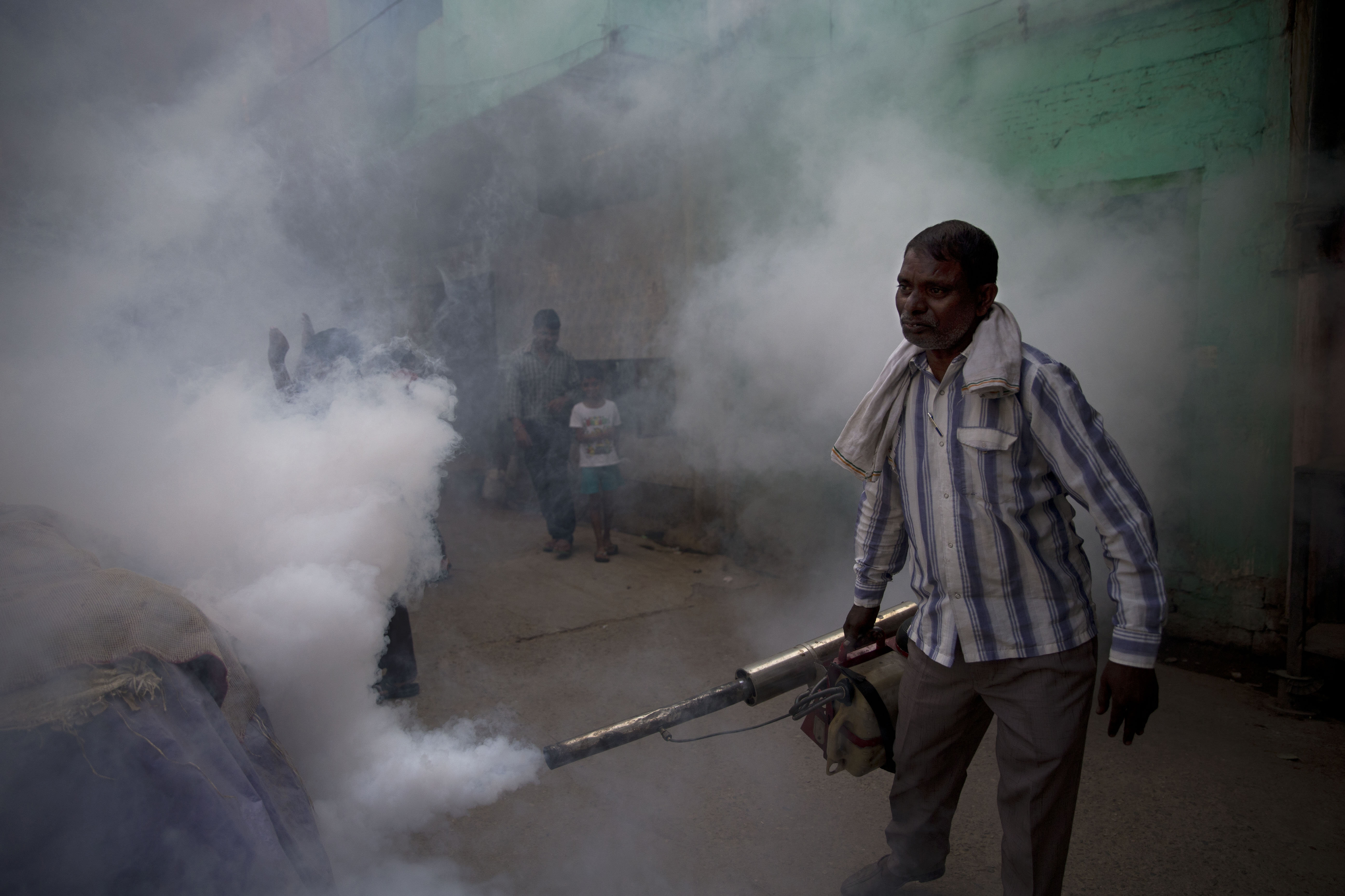India Mosquitoes