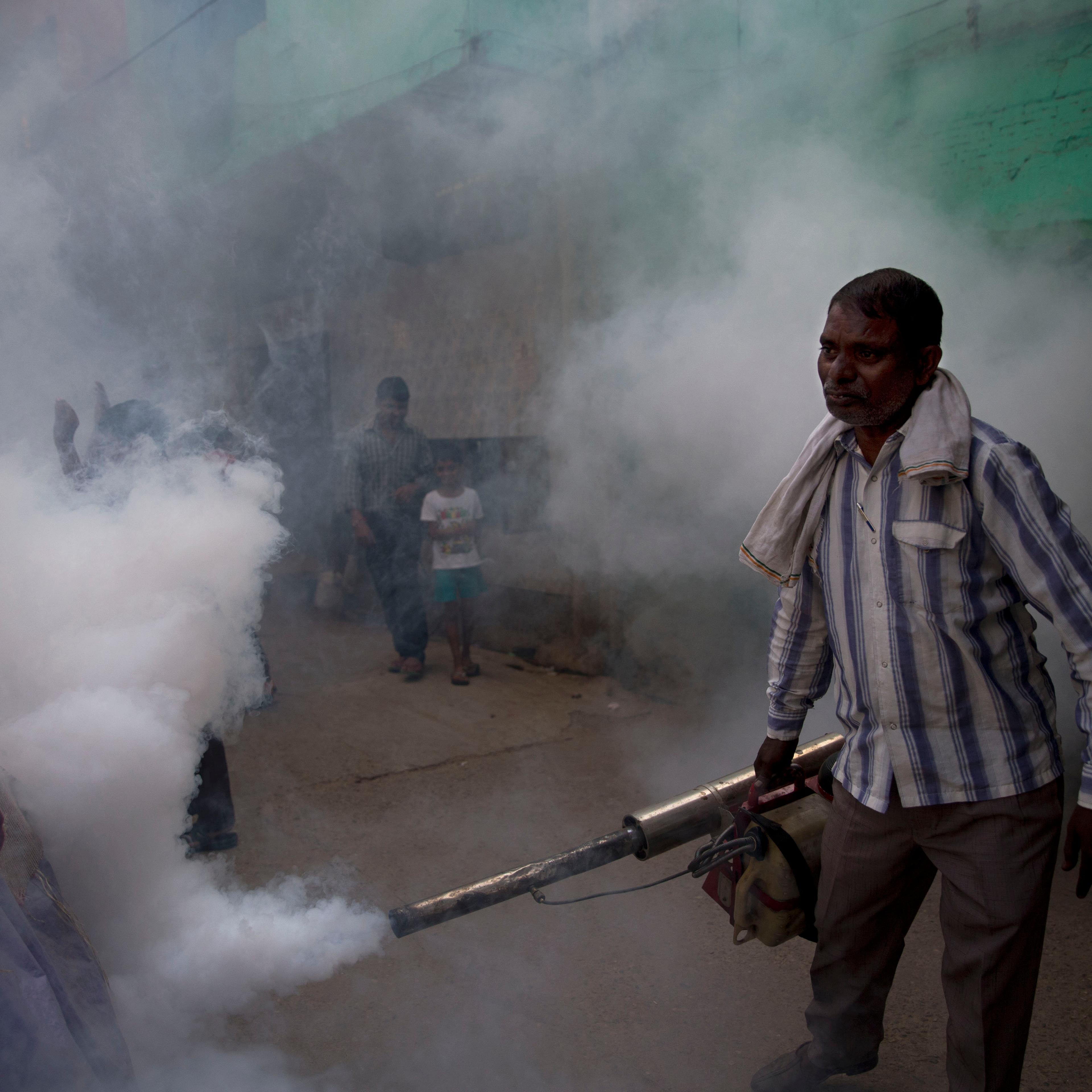 India Mosquitoes