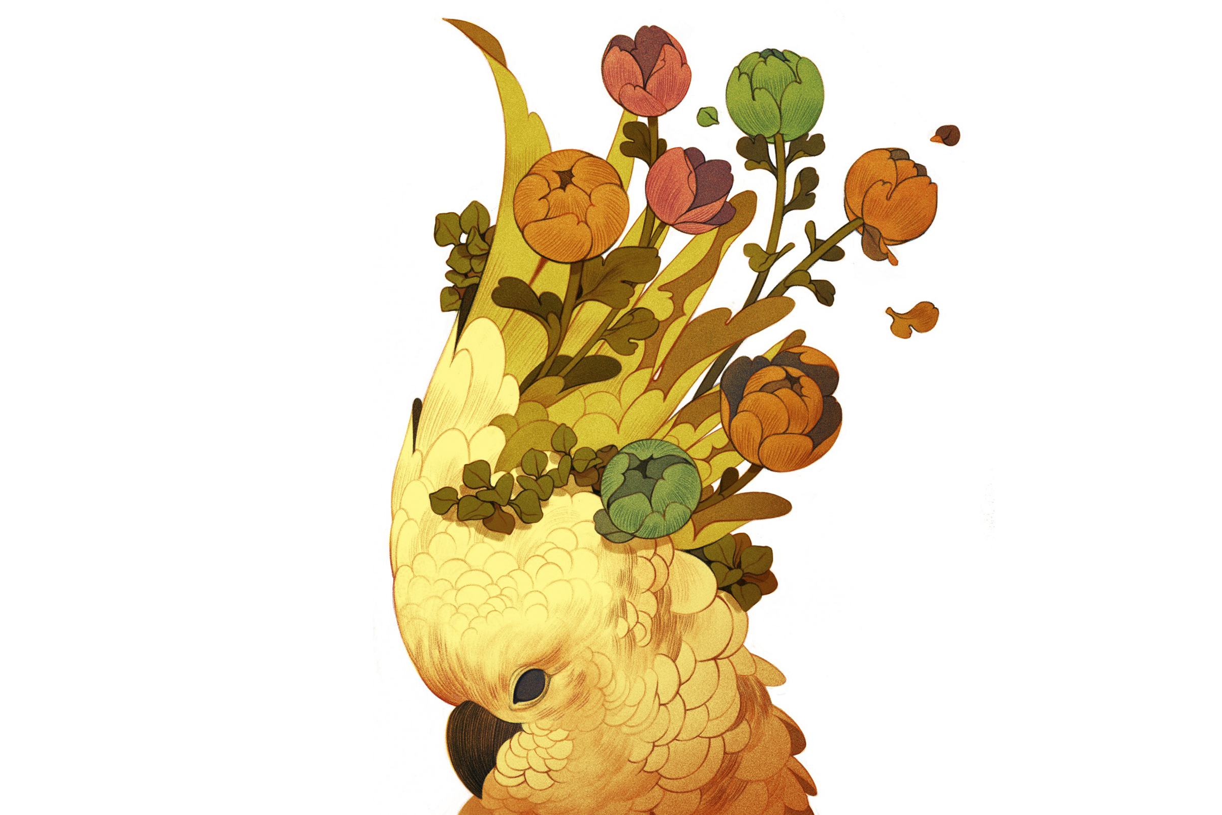 Birdbrain-misnomer-new-studies-show-birds-emarkable-cognitive-skills