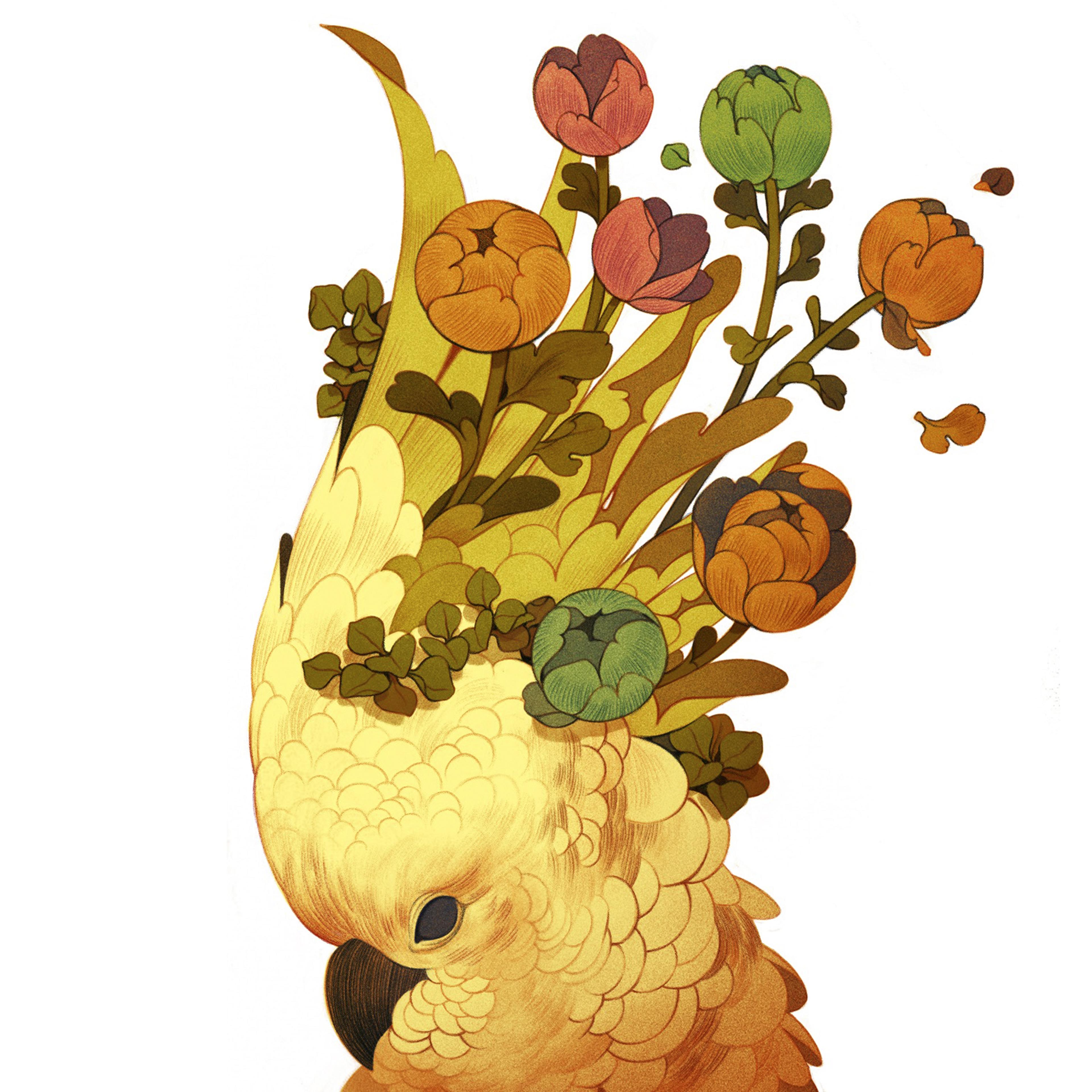 Birdbrain-misnomer-new-studies-show-birds-emarkable-cognitive-skills