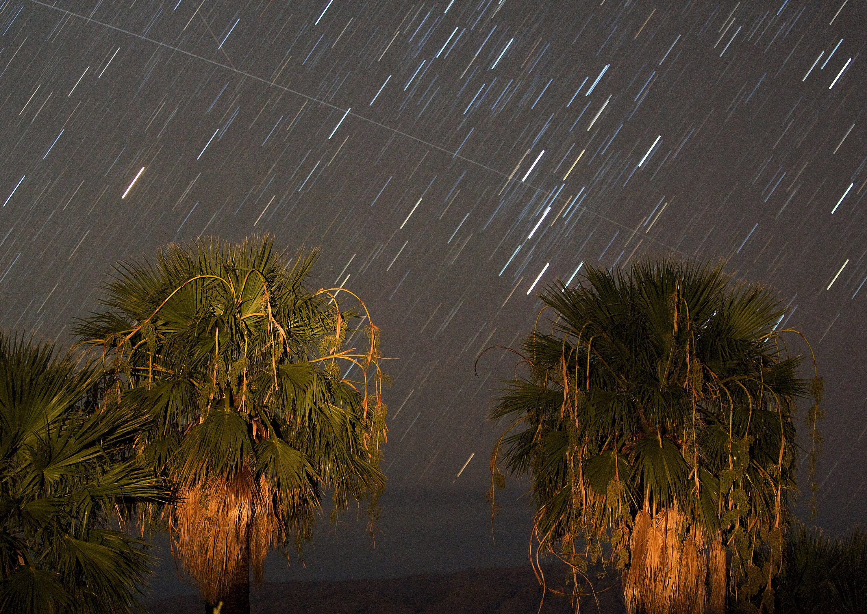 The Annual Perseid Meteor Shower Offers Celestial Show In Night Sky