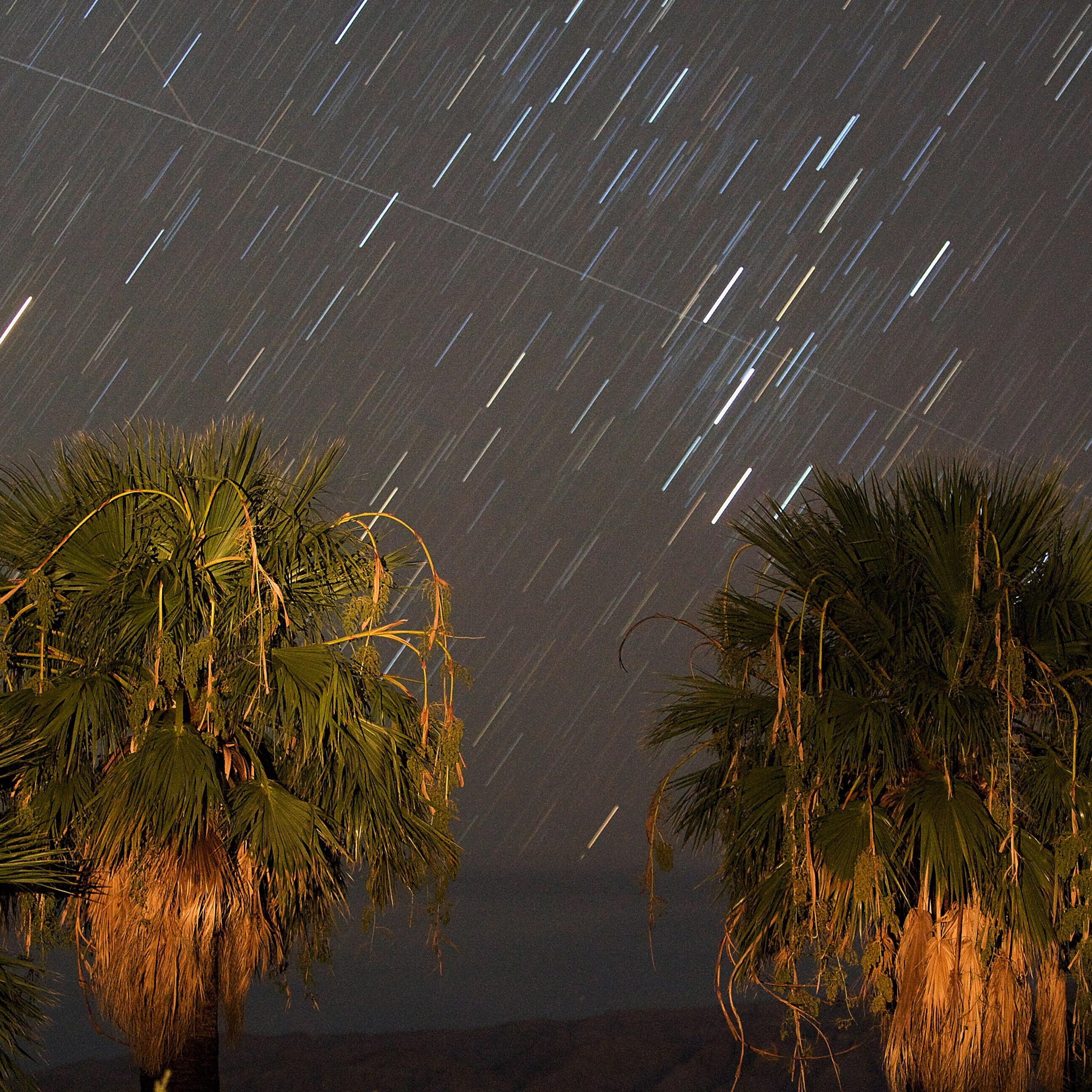 The Annual Perseid Meteor Shower Offers Celestial Show In Night Sky