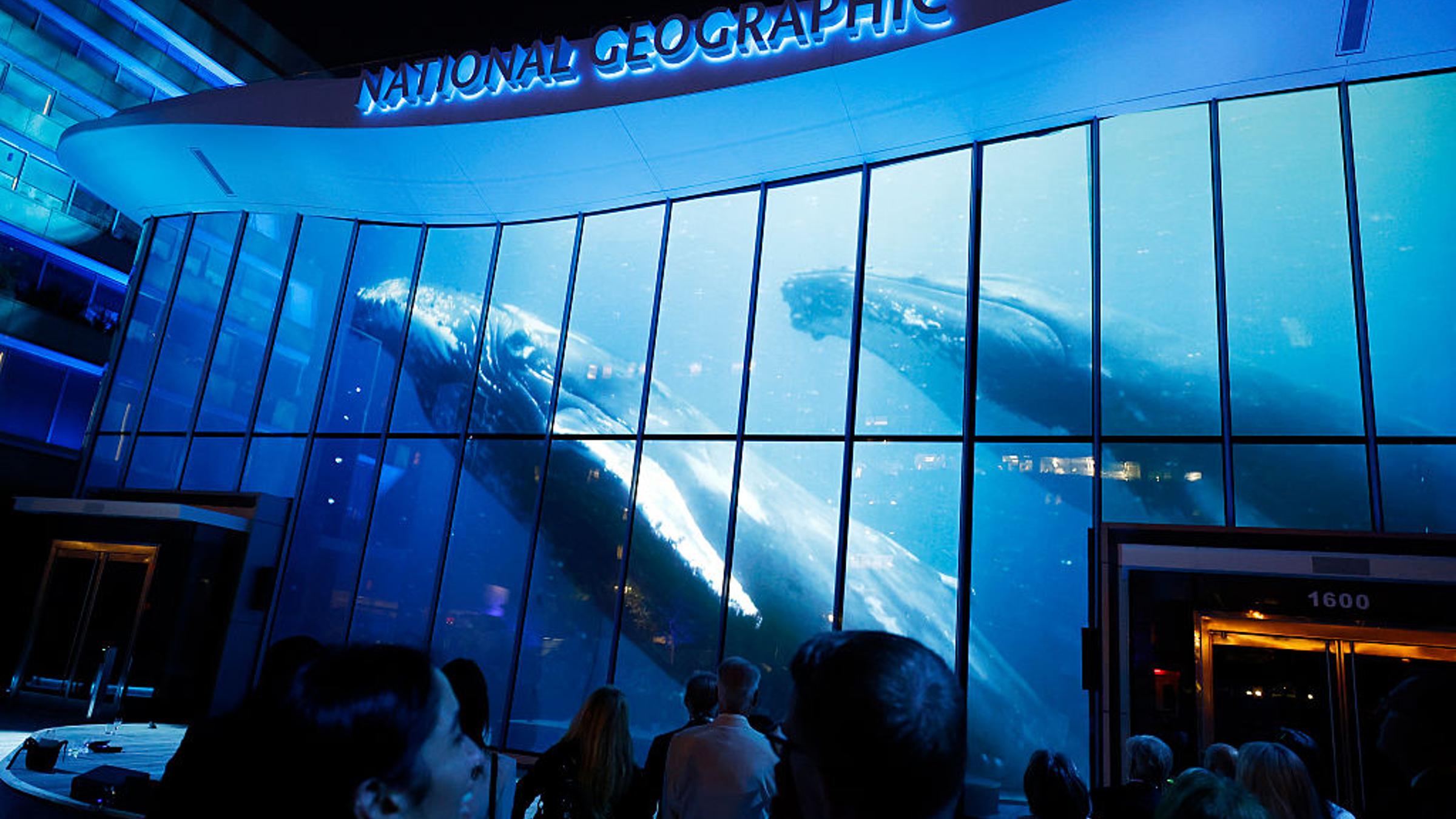 How the Reimagined National Geographic Museum Hopes to Inspire a New Generation of Conservationists