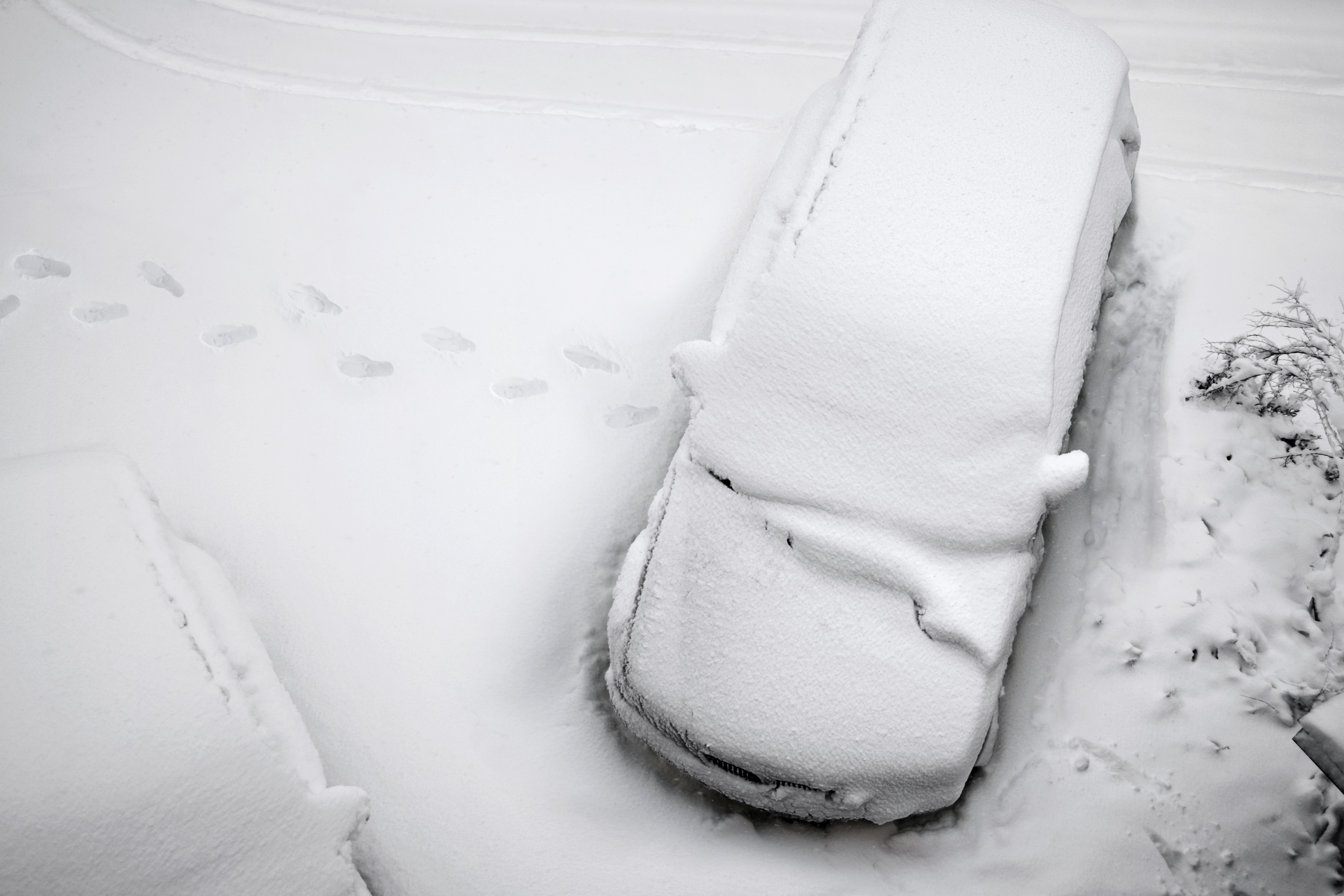 Snowed In