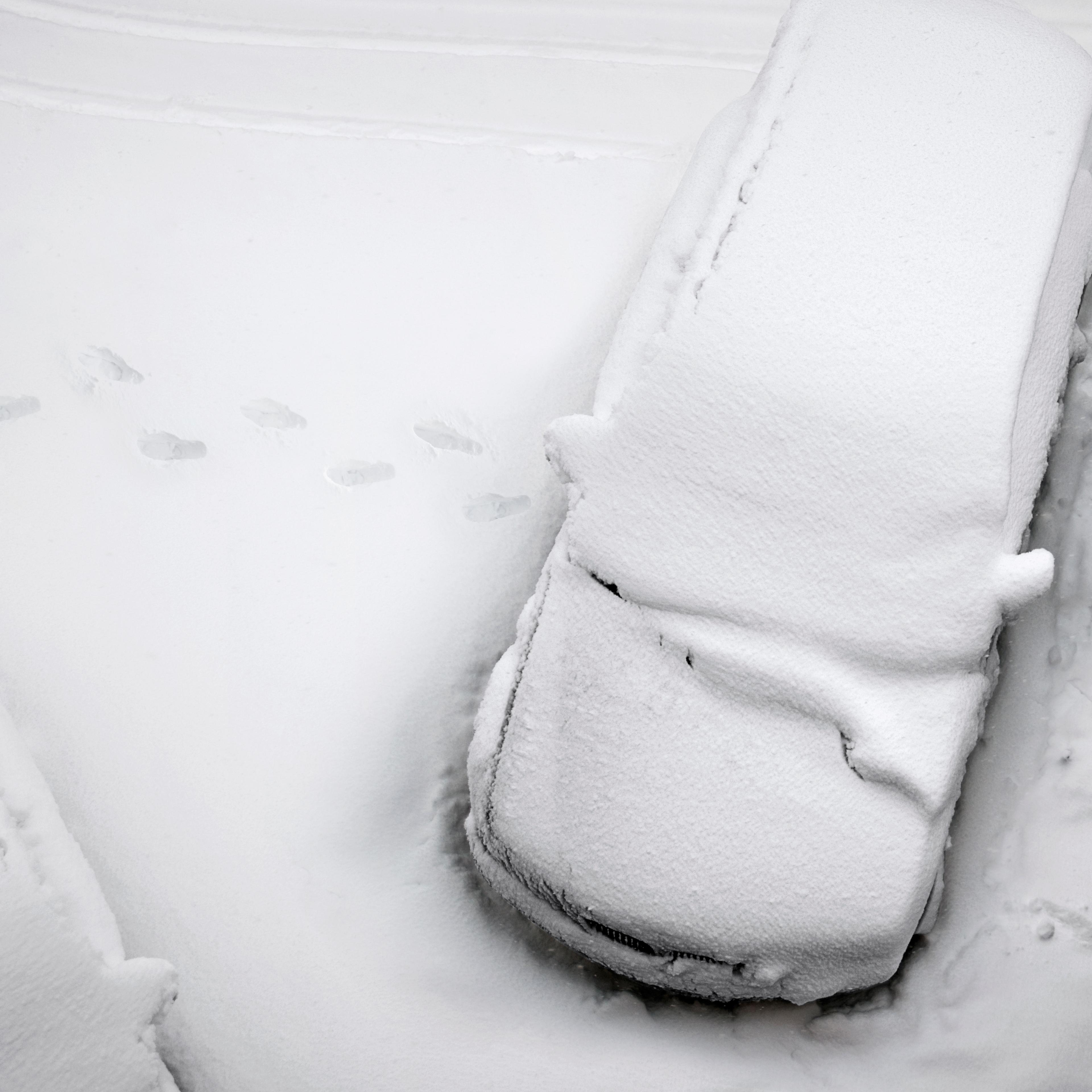 Snowed In