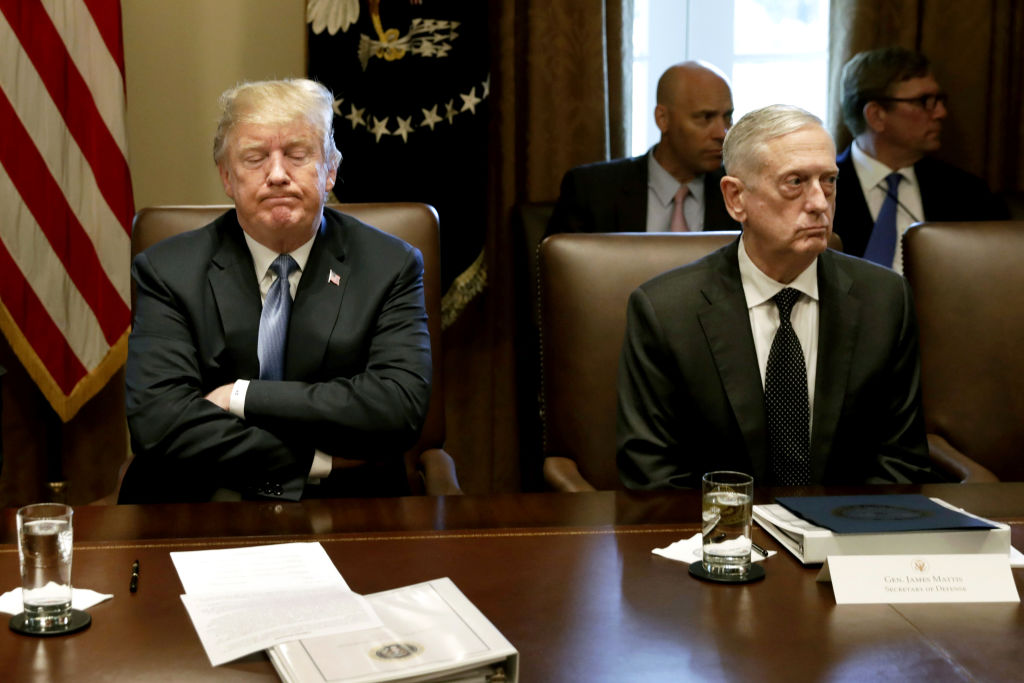 File: U.S. President Donald Trump's Second Year In The Oval Office
