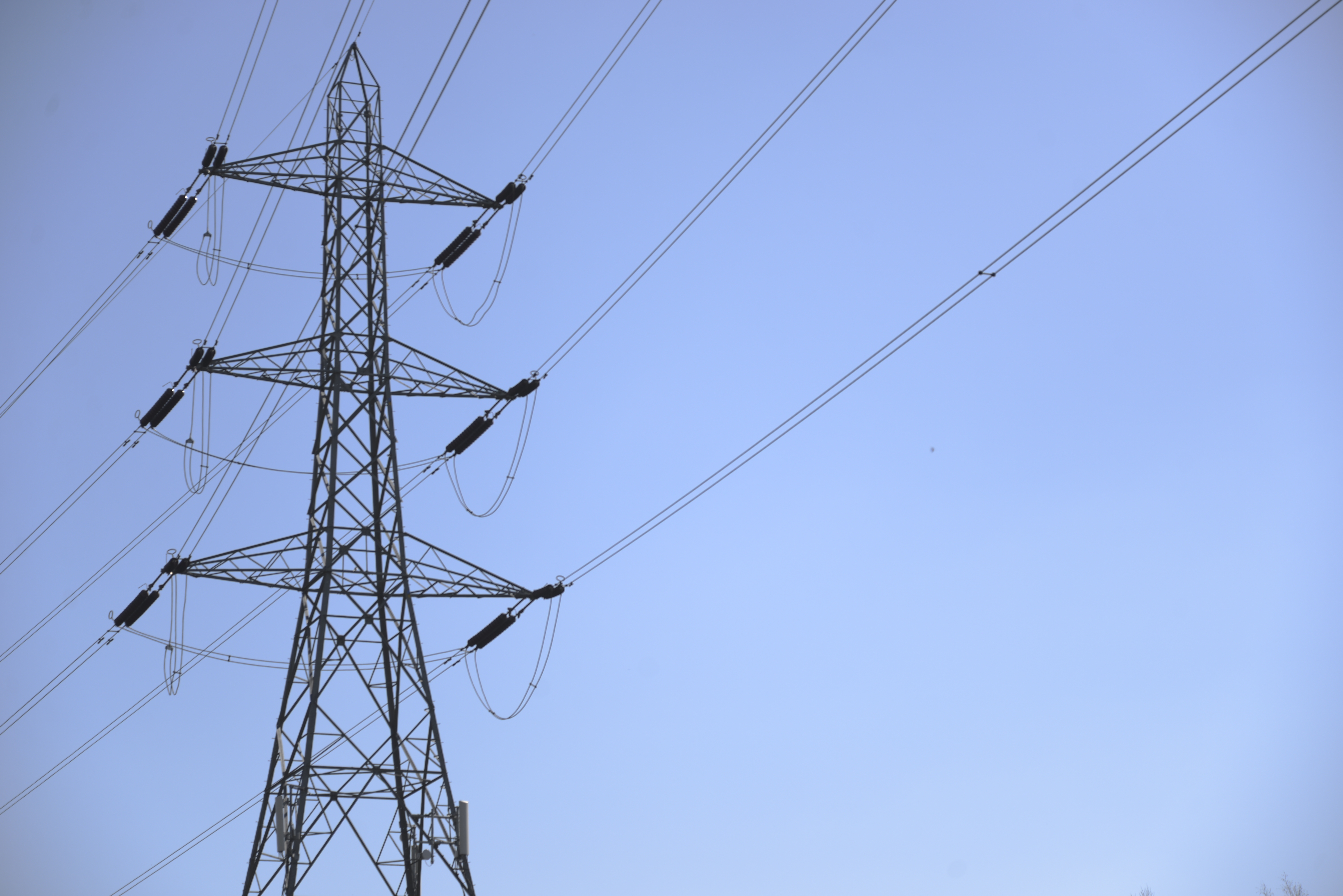 power lines utility company