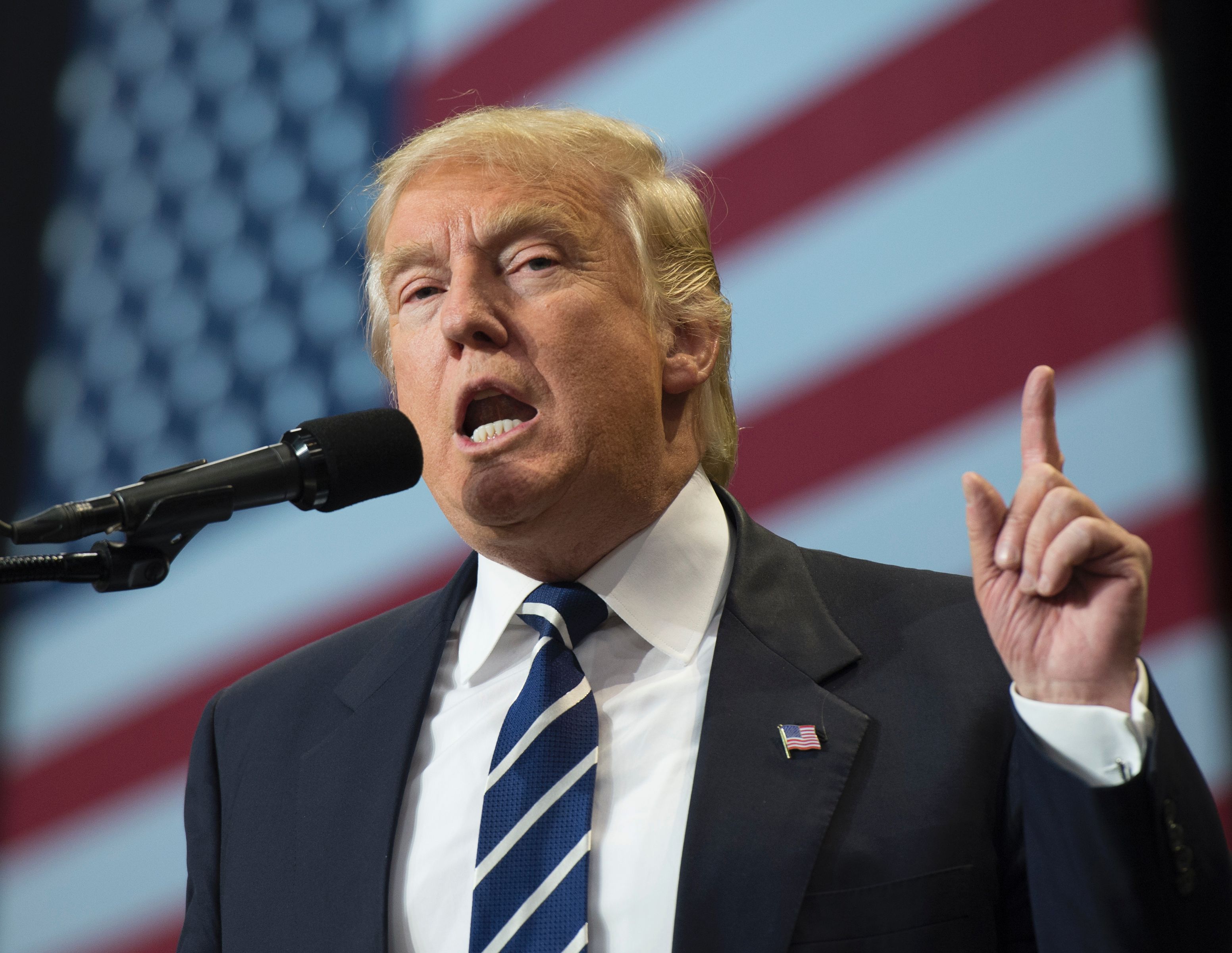 President-elect Donald Trump speaks at the USA Thank You Tour 2016 at the Wisconsin State Fair Exposition Center, on Dec. 13, 2016 in West Allis, Wis.