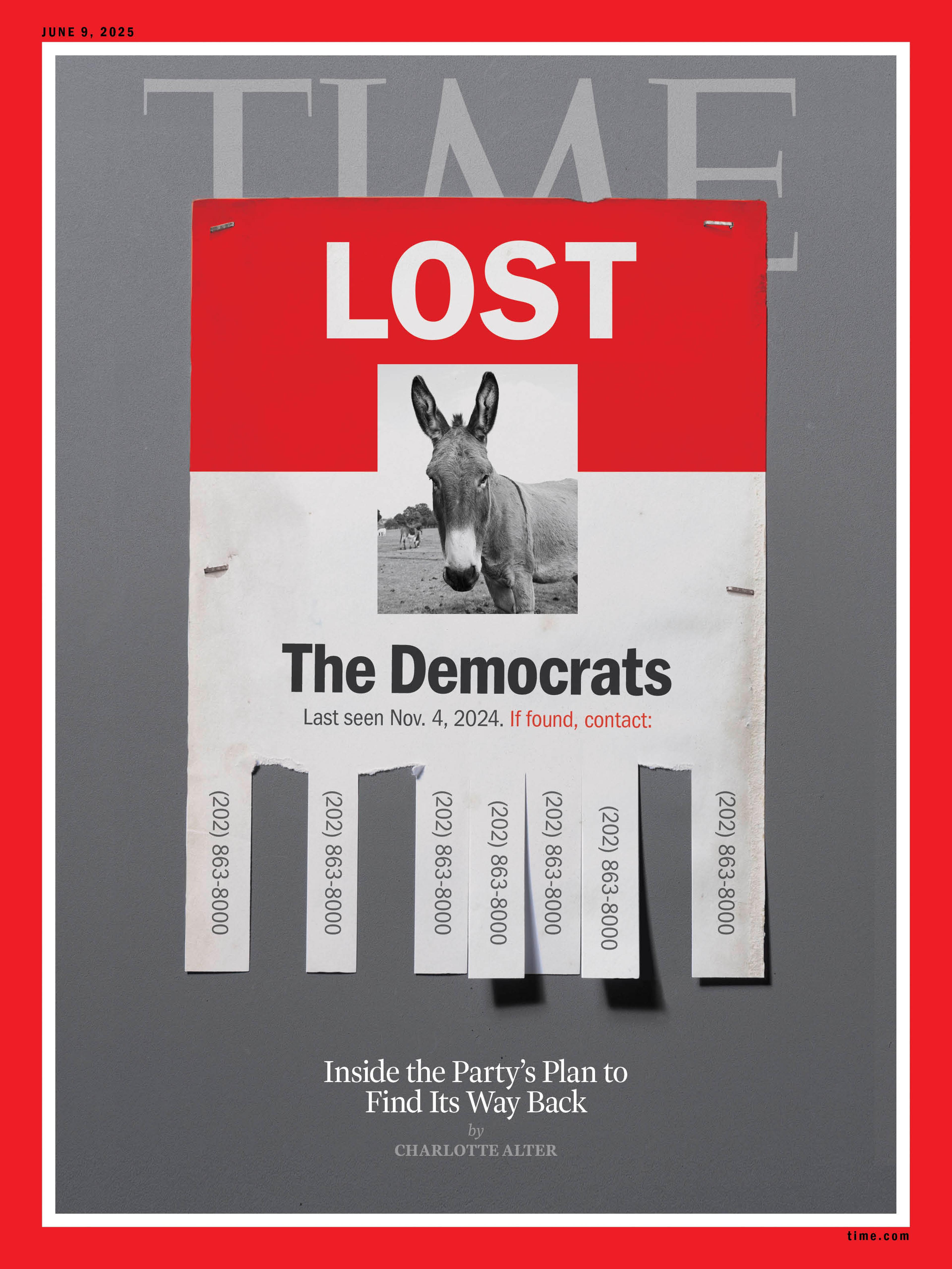 Lost: The Democrats Time Magazine cover