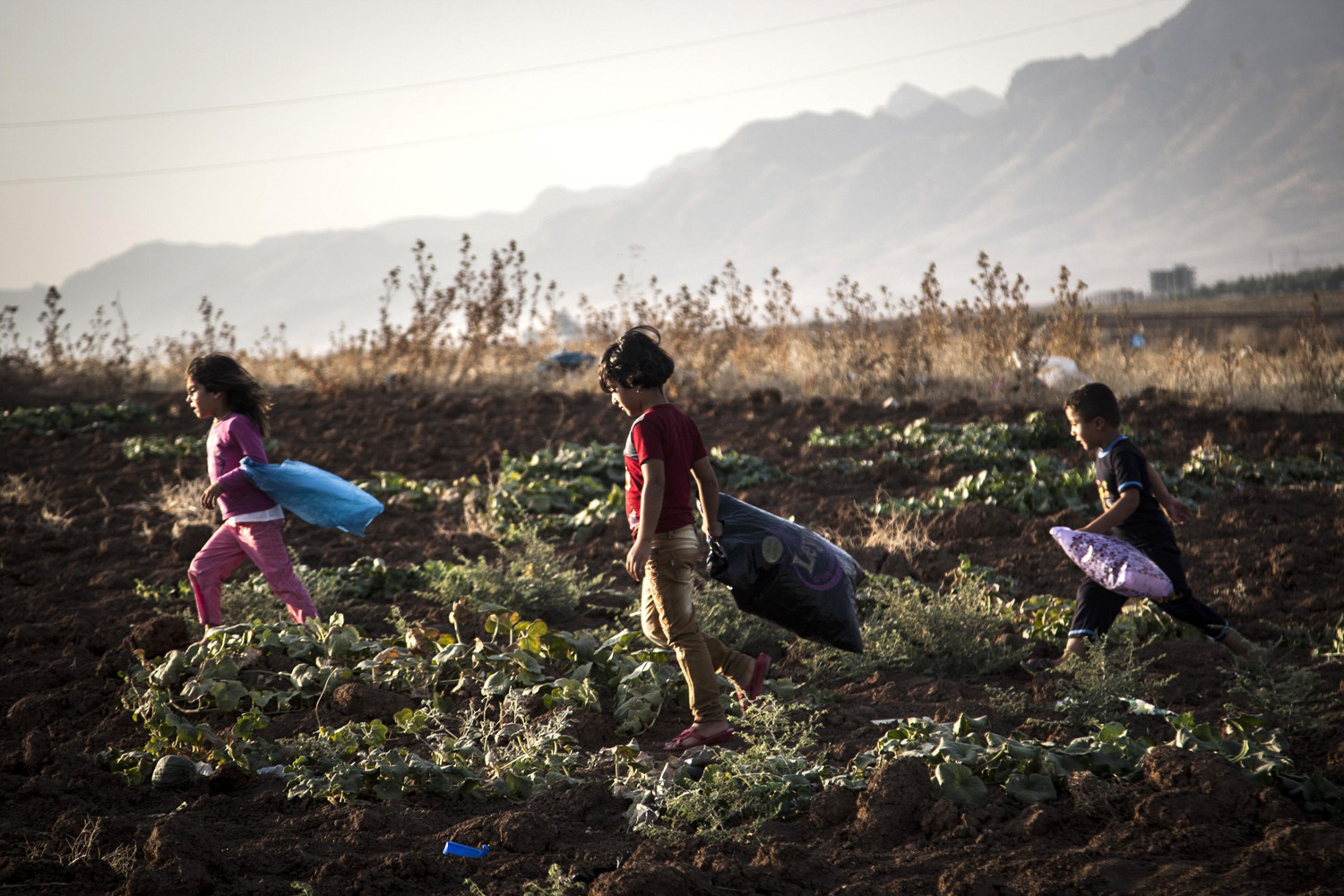 Camps for Yazidis in Turkey