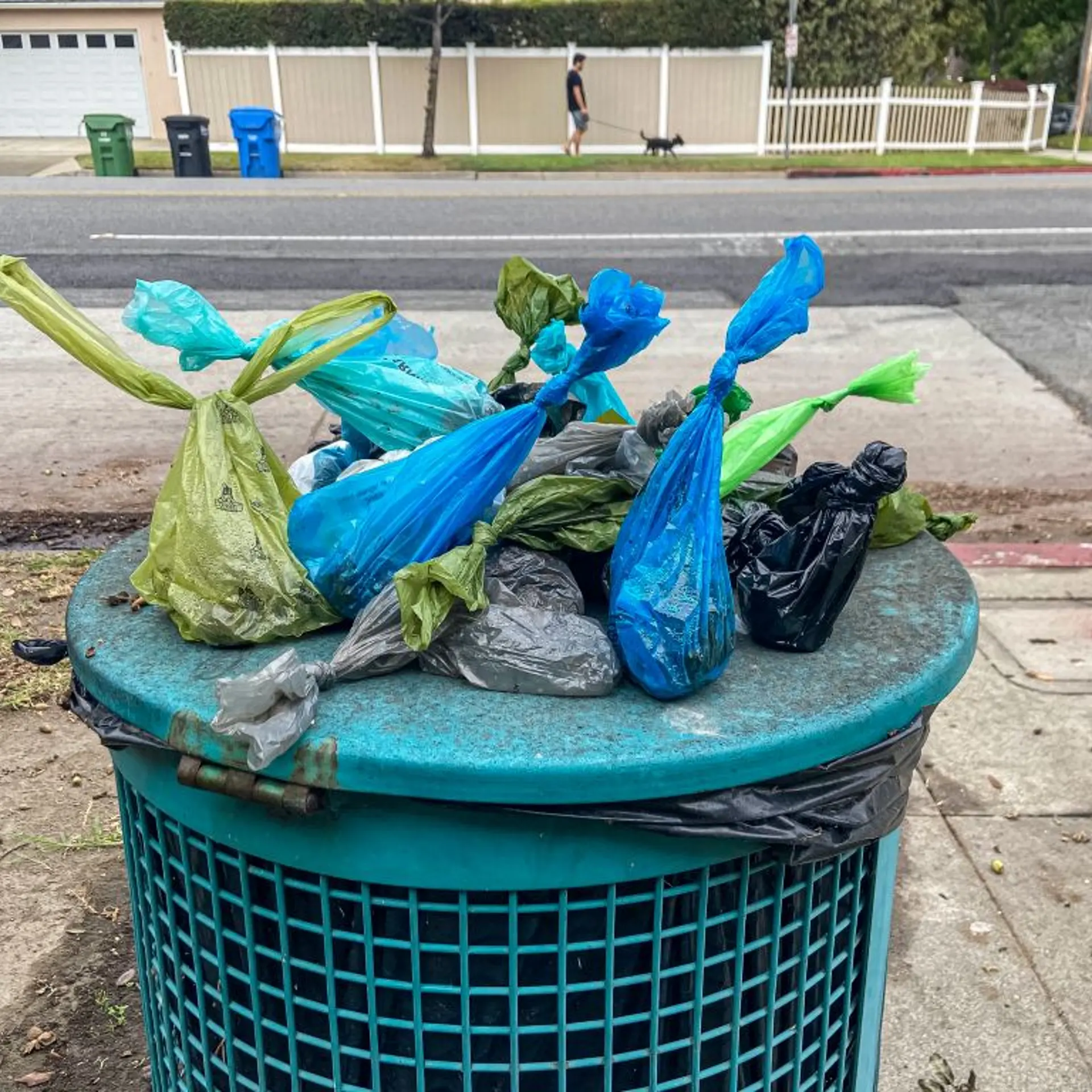 Dog poop bags on top of trash can