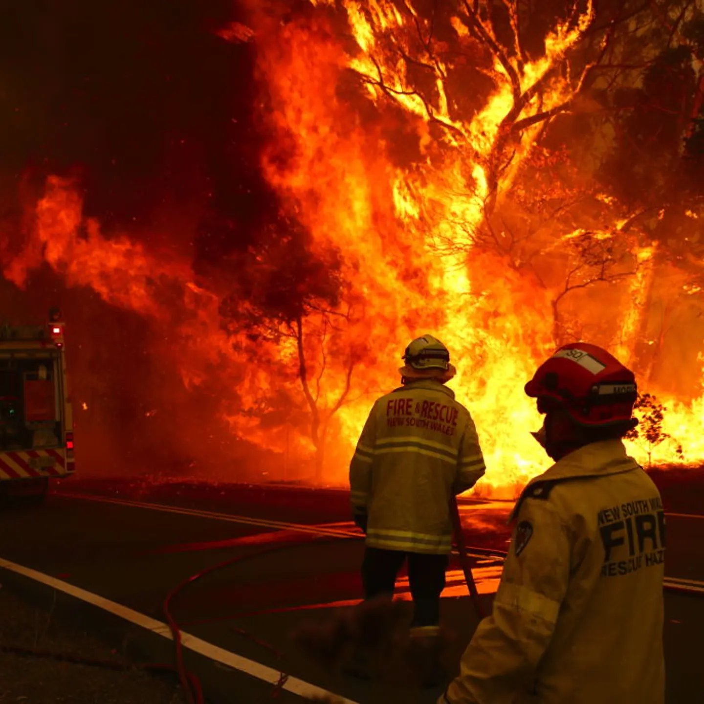 Gospers Mountain Fire At Emergency Level As Heatwave Continues