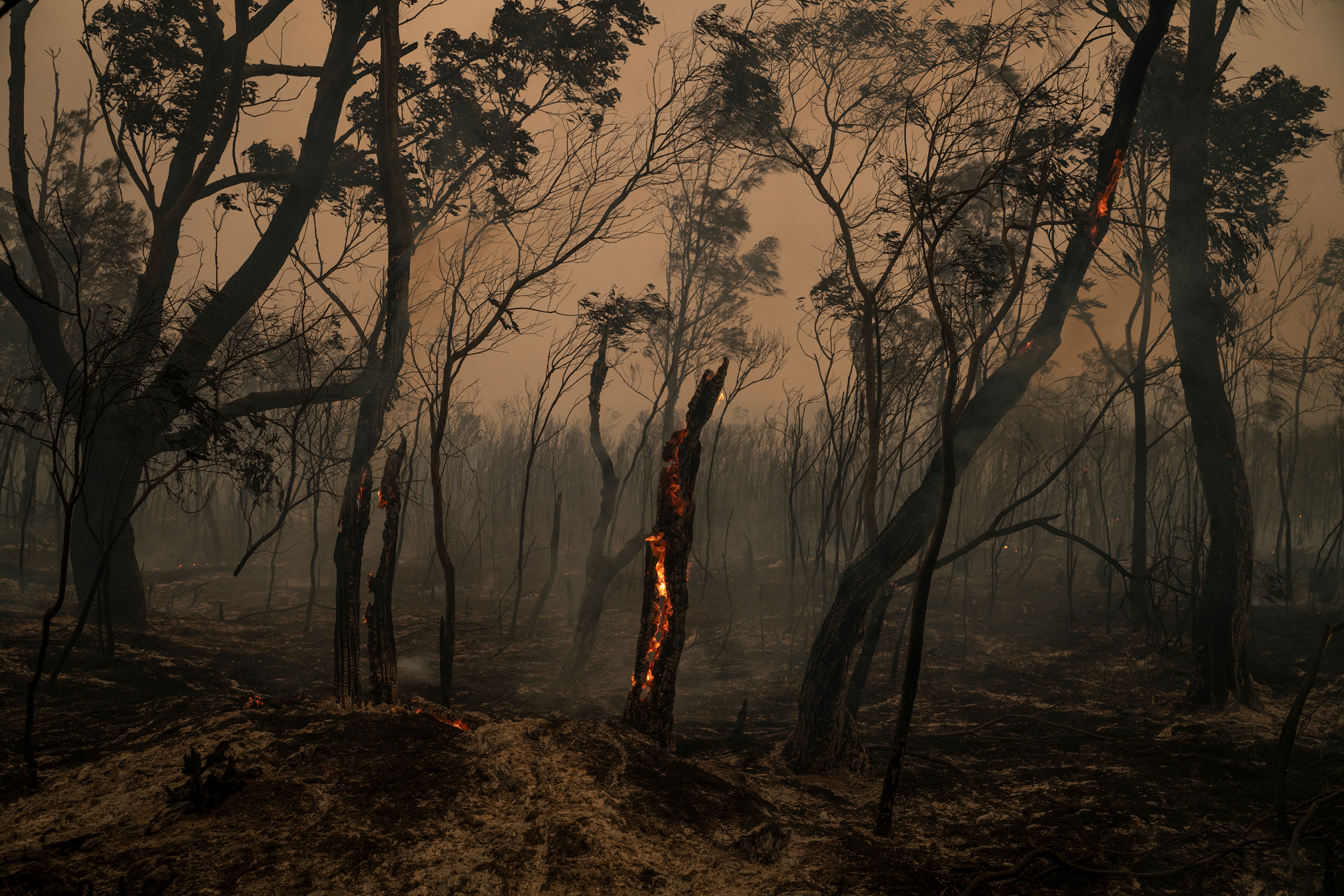 Members of the Rural Fire Service back-burn bushland near Burrill Lake in New South Wales, Australia, on Jan. 4, 2020.