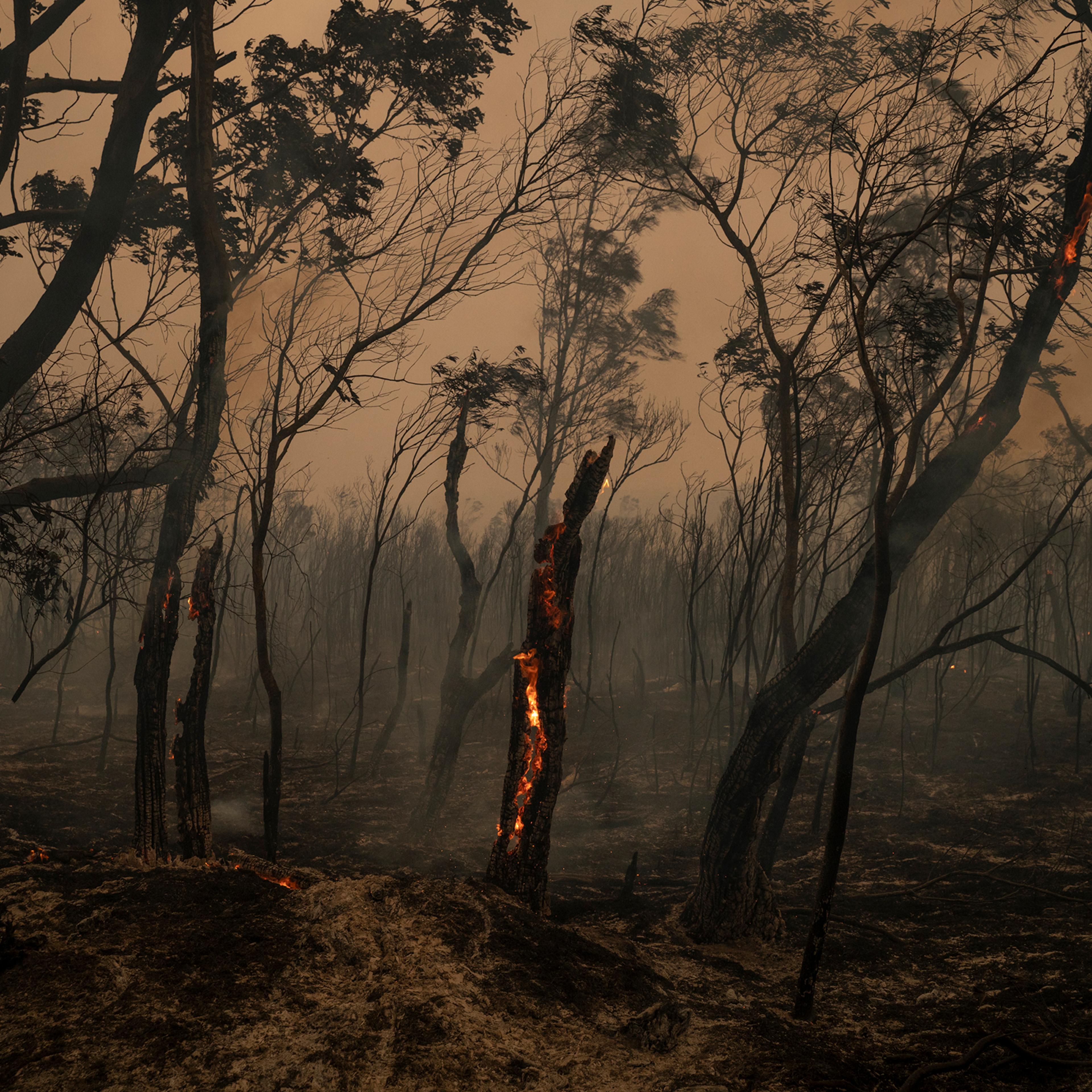 Members of the Rural Fire Service back-burn bushland near Burrill Lake in New South Wales, Australia, on Jan. 4, 2020.