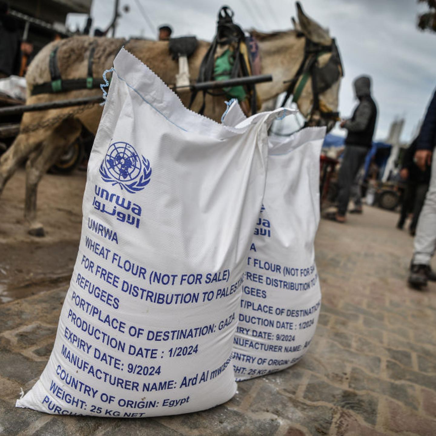 UNRWA distributed flour to Palestinians in Rafah.