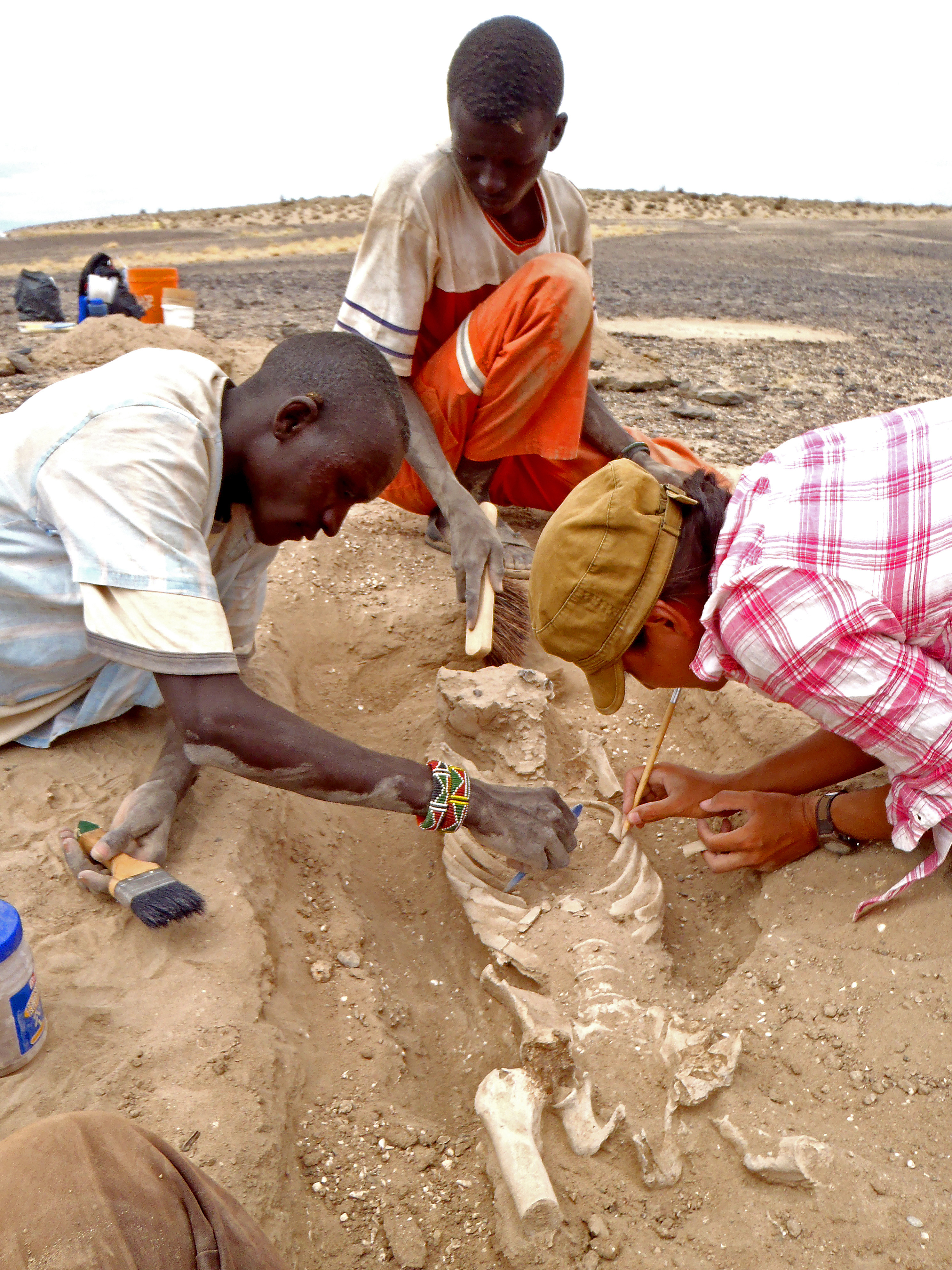 In this August 2012 photo provided by Marta Mirazon Lahr, researcher Frances Rivera, right, Michael Emsugut, left, and Tot Ekulukum excavate a human skeleton at the site of Nataruk, West Turkana, Kenya. This skeleton was that of a woman, found lying on h