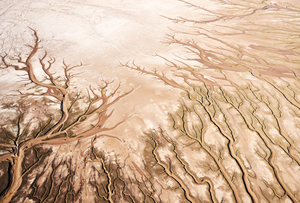 Drought, overconsumption, and climate change, are main factors dissipating the amount of Colorado River water that will reach the Sea of Cortez on its journey through the Colorado River Delta on October 24, 2022 in Baja California, Mexico.
