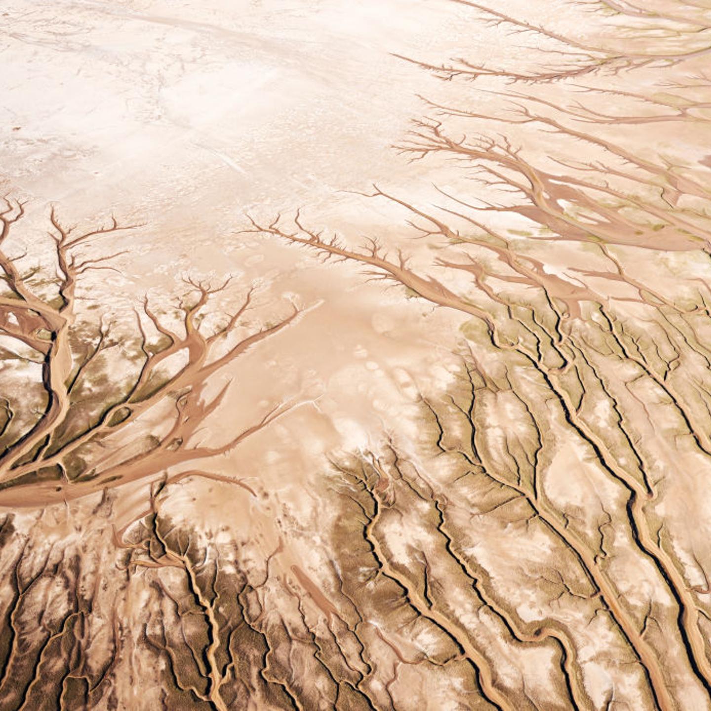 Drought, overconsumption, and climate change, are main factors dissipating the amount of Colorado River water that will reach the Sea of Cortez on its journey through the Colorado River Delta on October 24, 2022 in Baja California, Mexico.