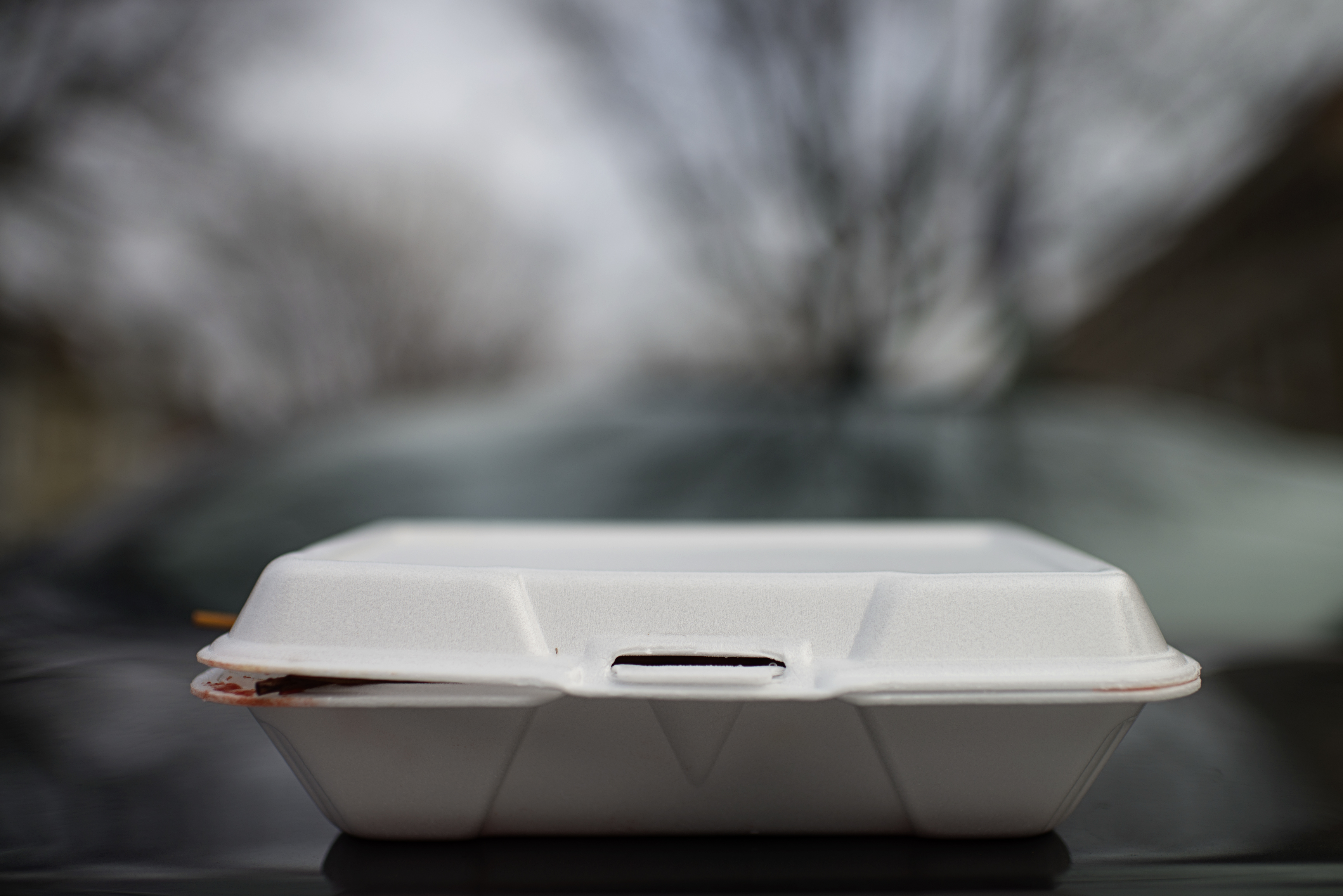 Styrofoam ban