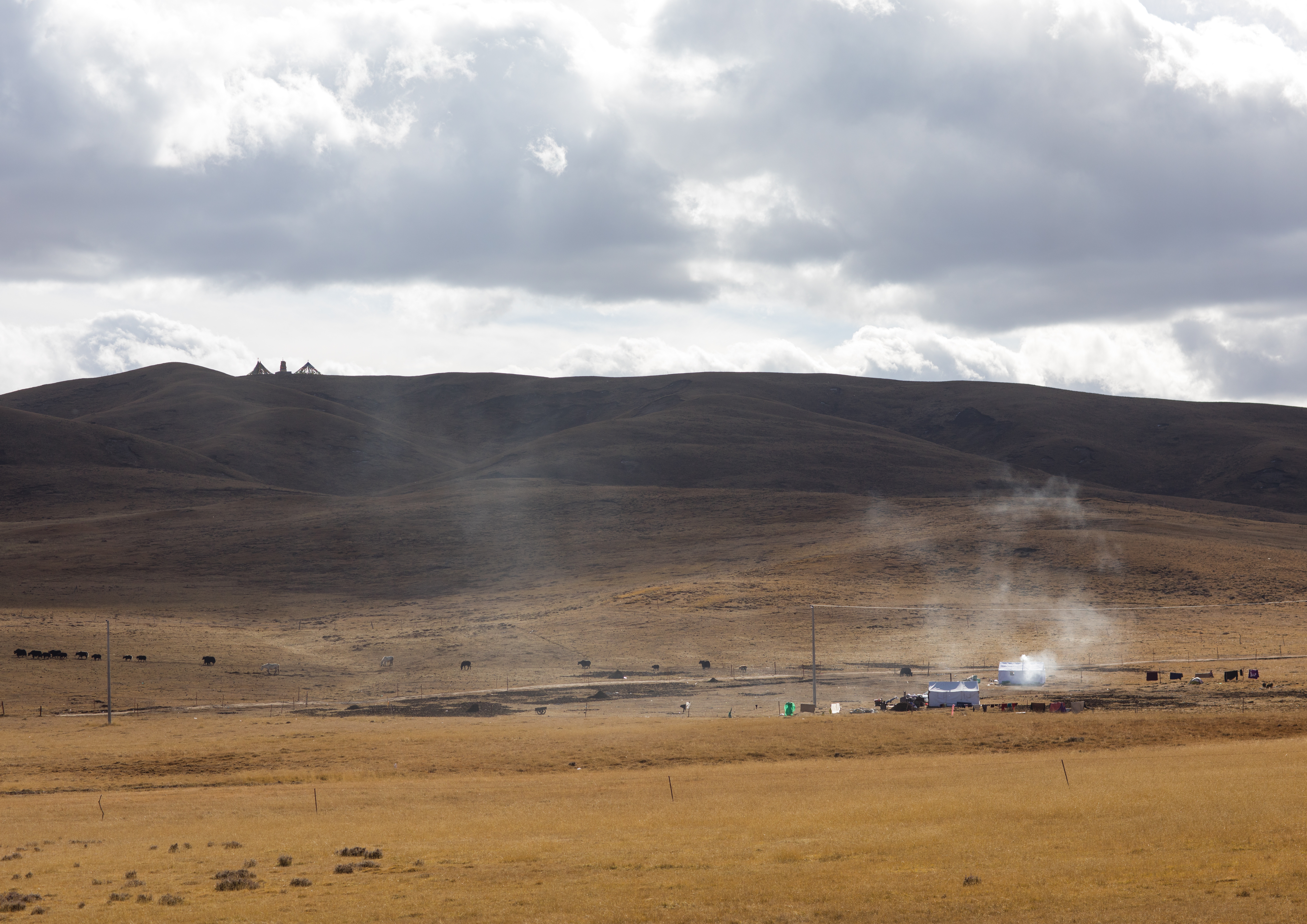 Little house in the grassland, Qinghai province, Tsekhog, China