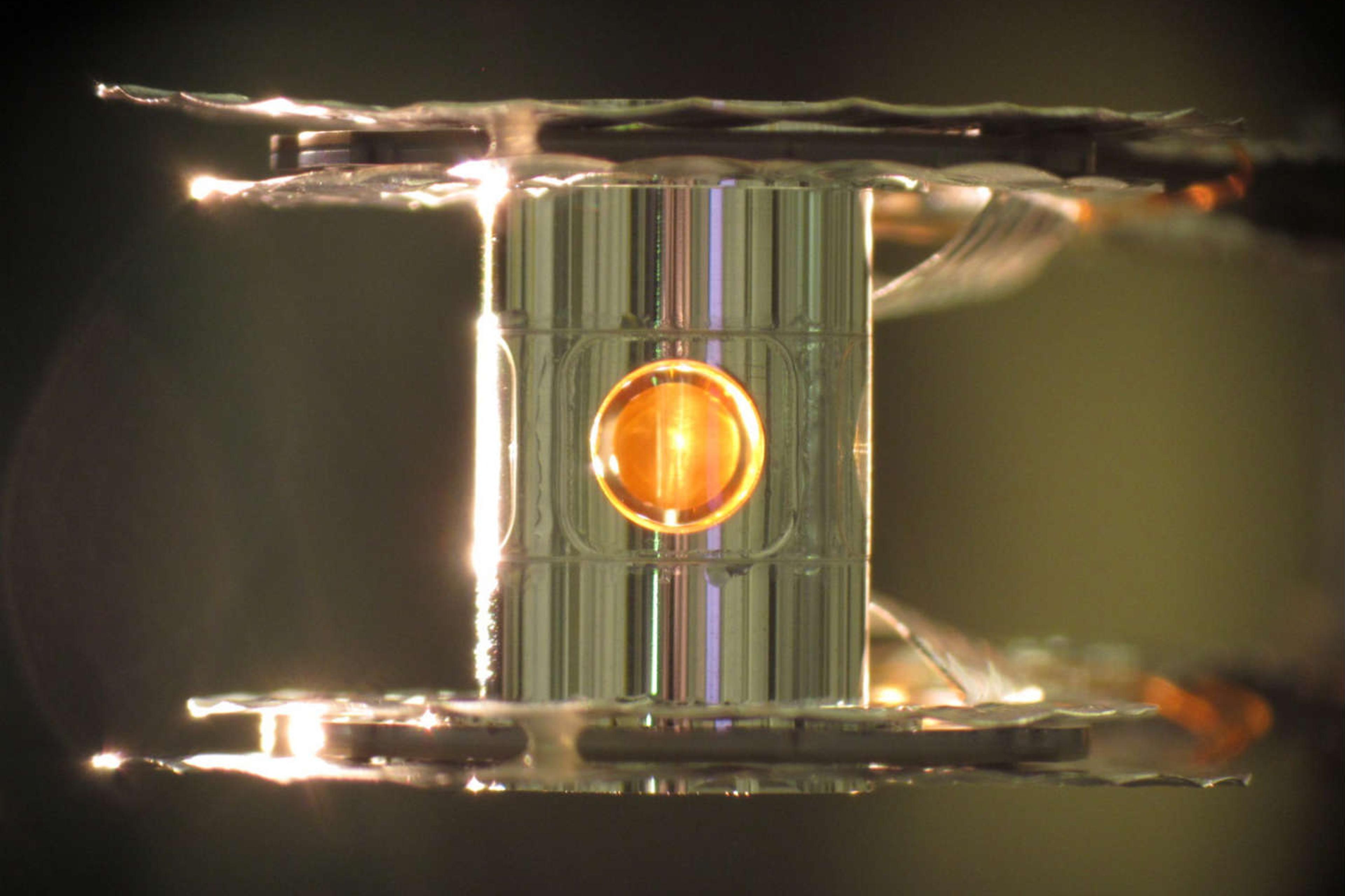 Fusion capsule