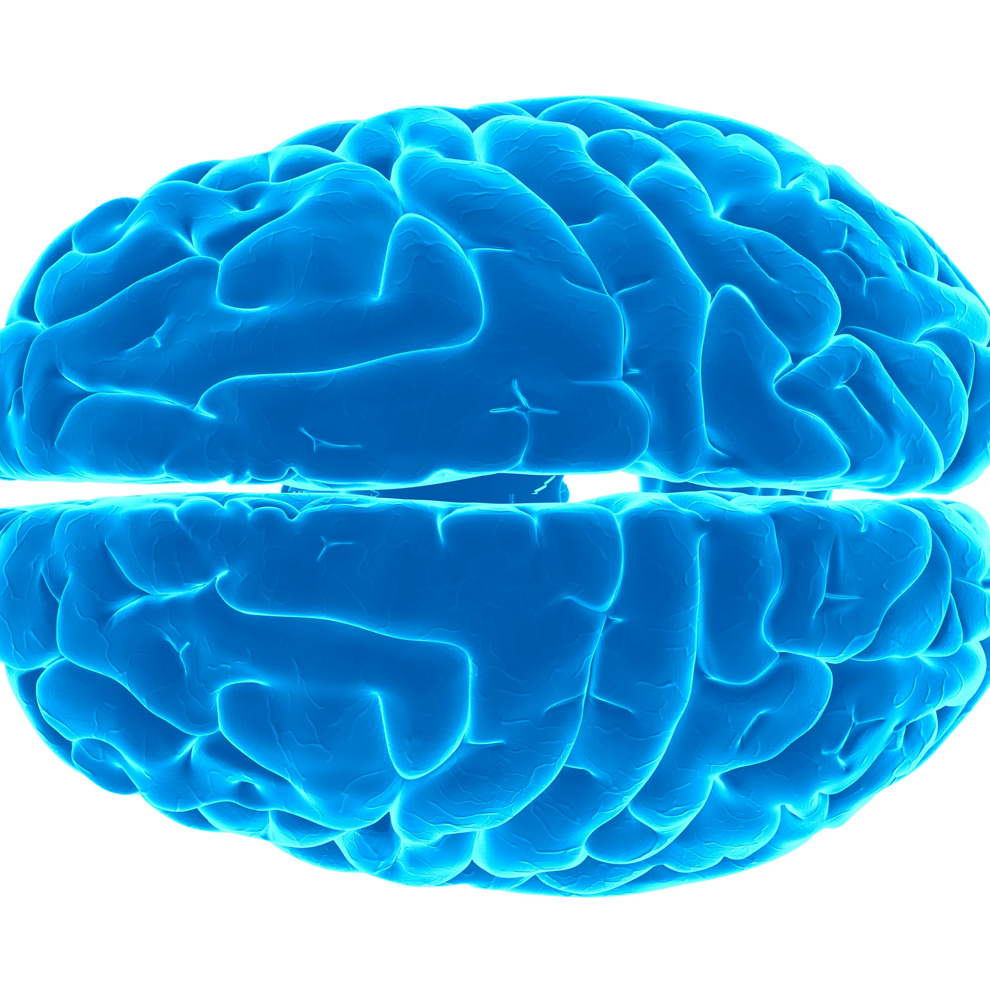 Human brain, artwork