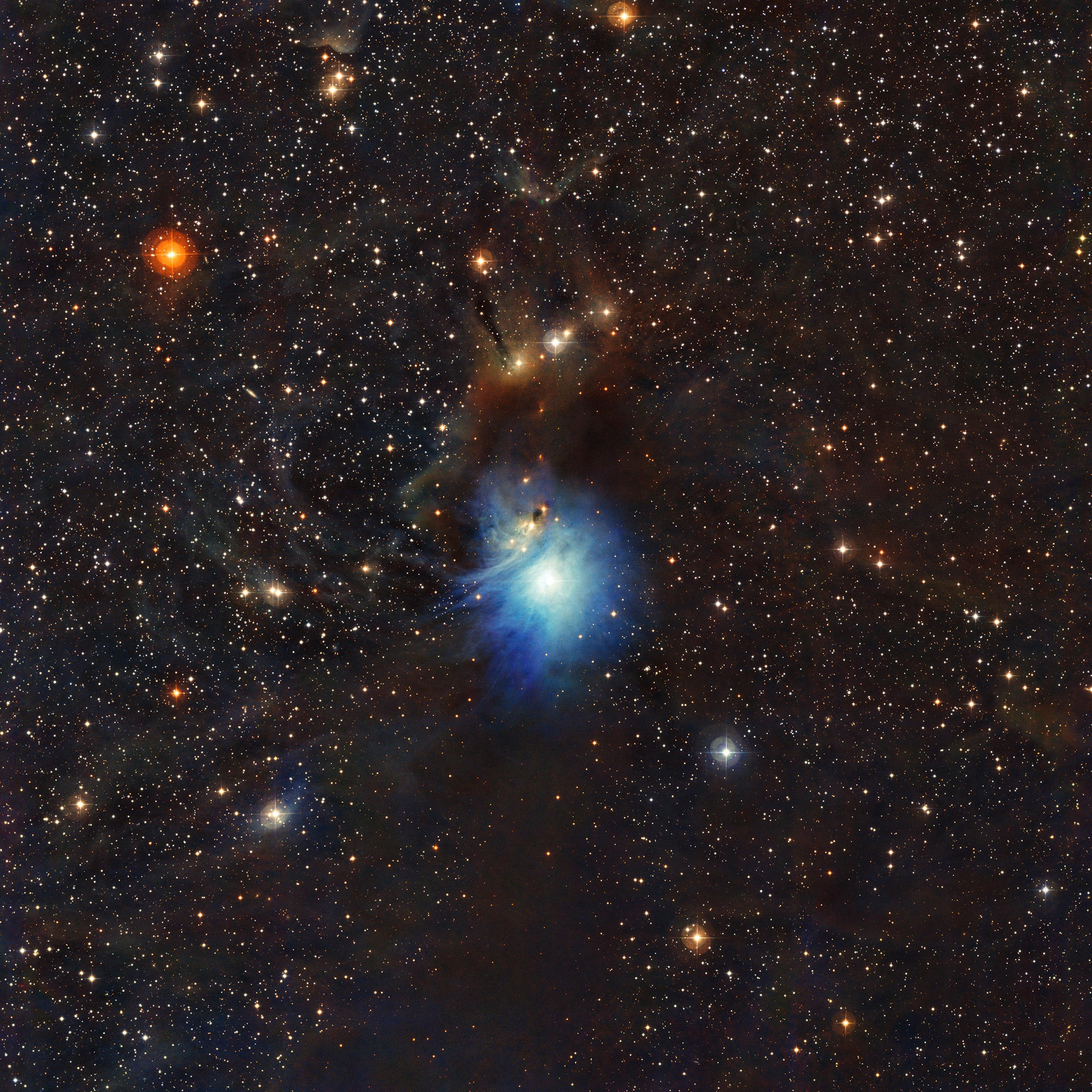 A newly formed star lights up the surrounding cosmic clouds in this image from ESO’s La Silla Observatory in Chile. Dust particles in the vast clouds that surround the star HD 97300 diffuse its light, like a car headlight in enveloping fog, and create th