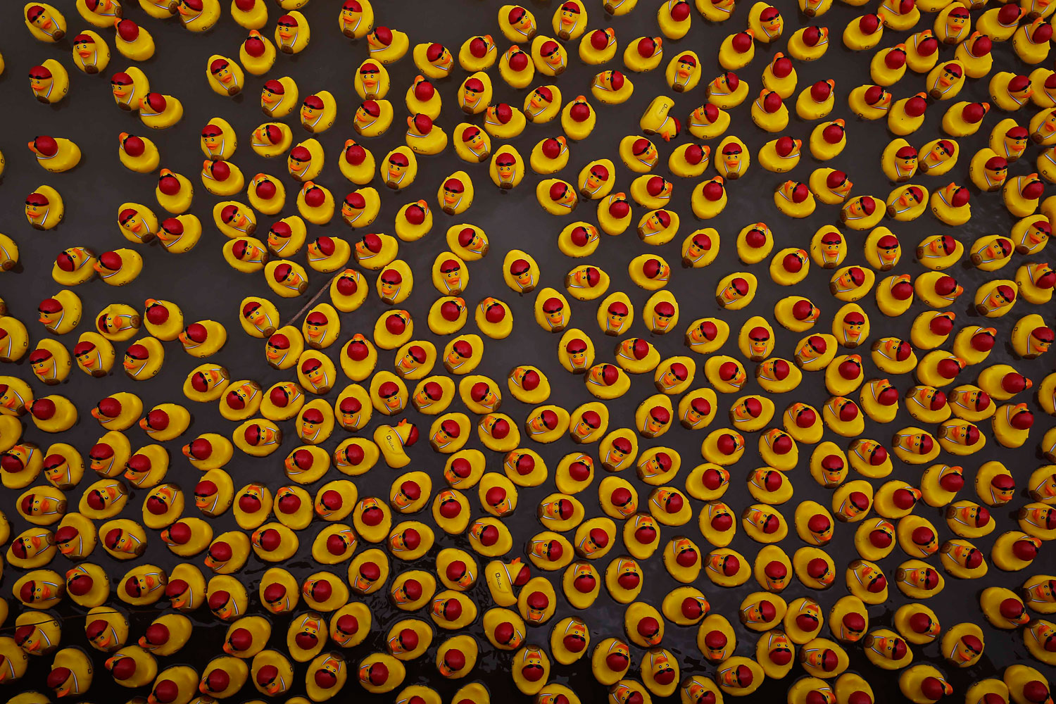 Rubber ducks, all adapted into wearing swimming caps and Special Olympic gold medals, drift down Huangpu River in a charity event in Shanghai.