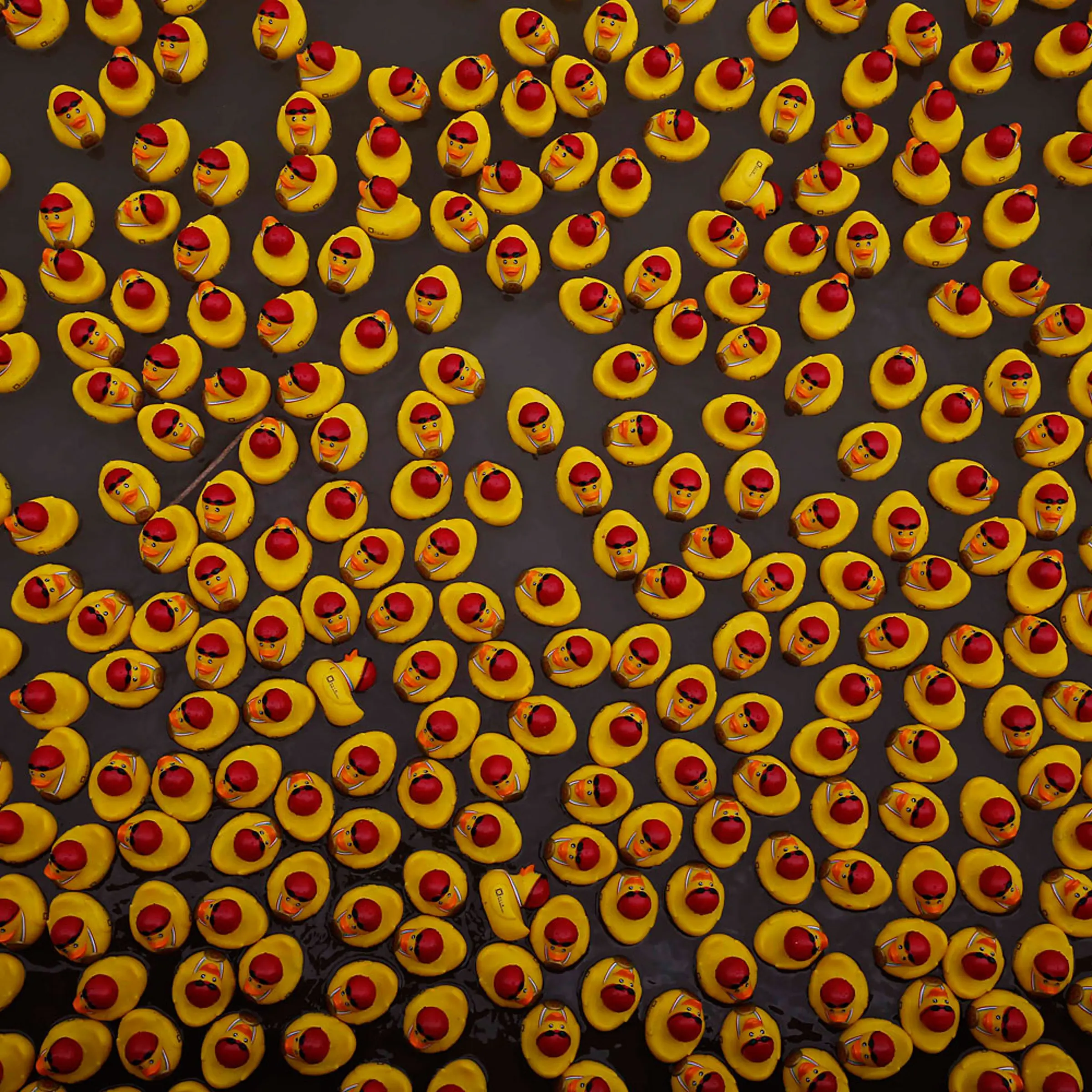 Rubber ducks, all adapted into wearing swimming caps and Special Olympic gold medals, drift down Huangpu River in a charity event in Shanghai.