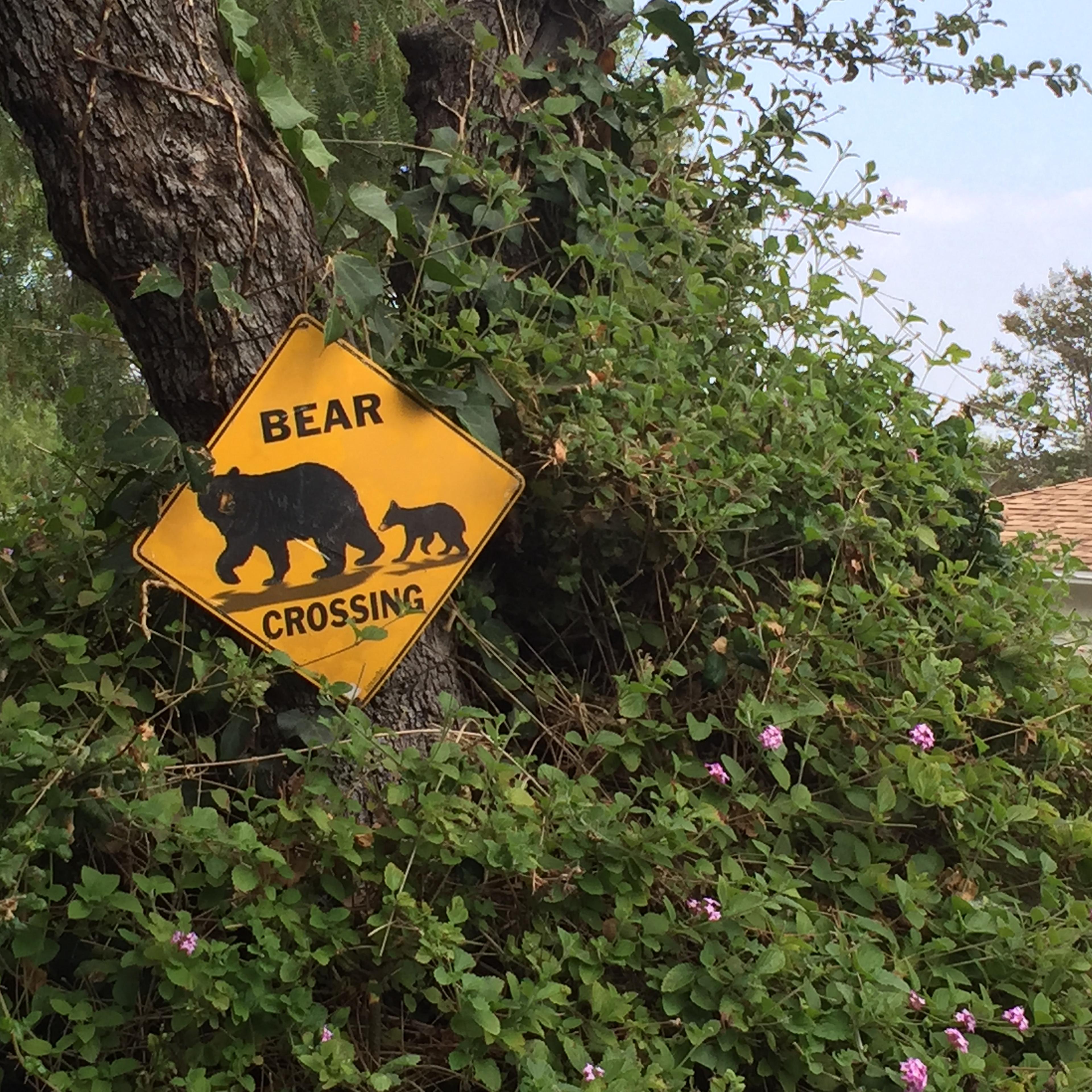 A bear crossing sign on the side of the road in Monrovia, Calif.