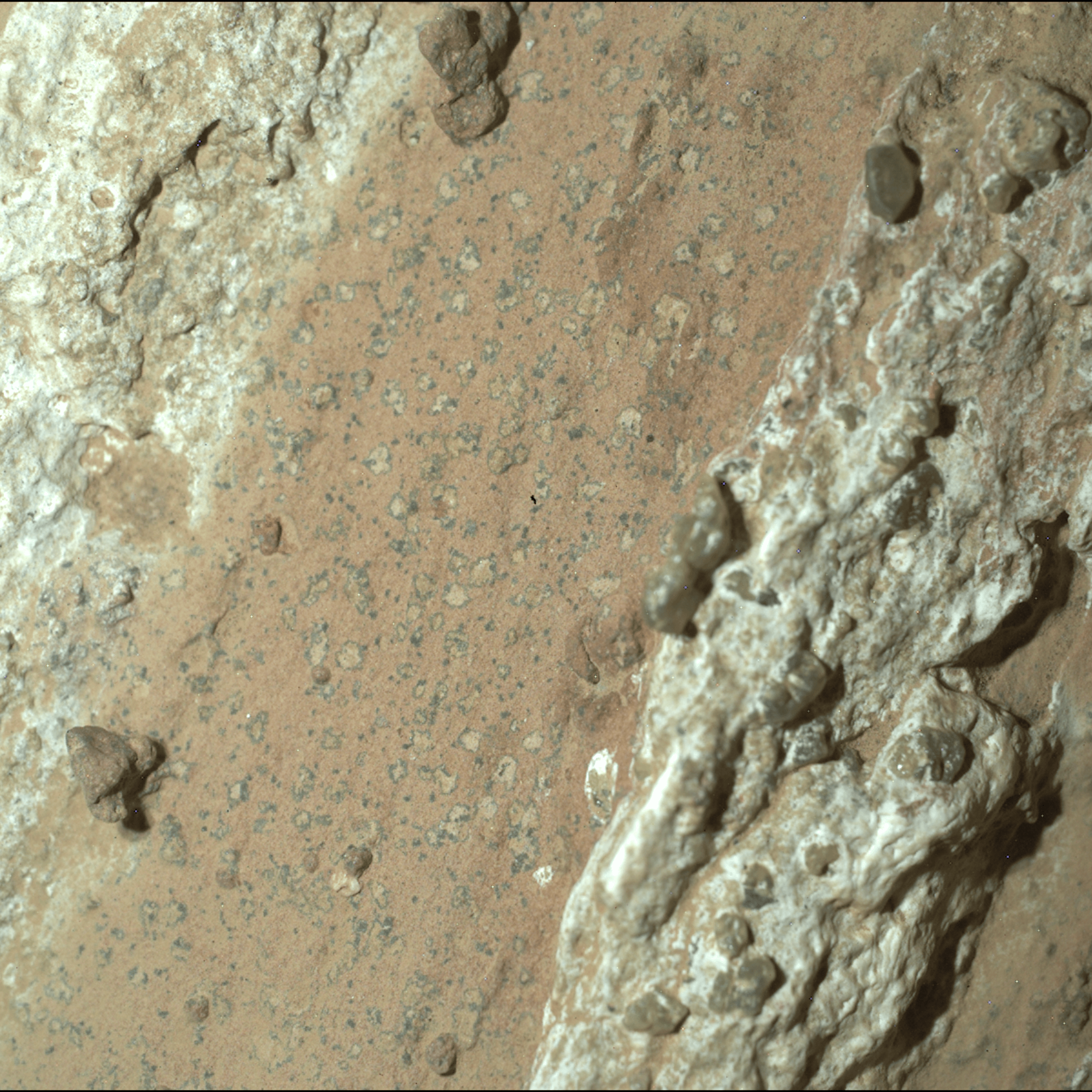 The Perseverance rover captured this image of a rock nicknamed "Cheyava Falls" on July 18, 2024. Its poppy-seed and leopard-spot markings are visible.