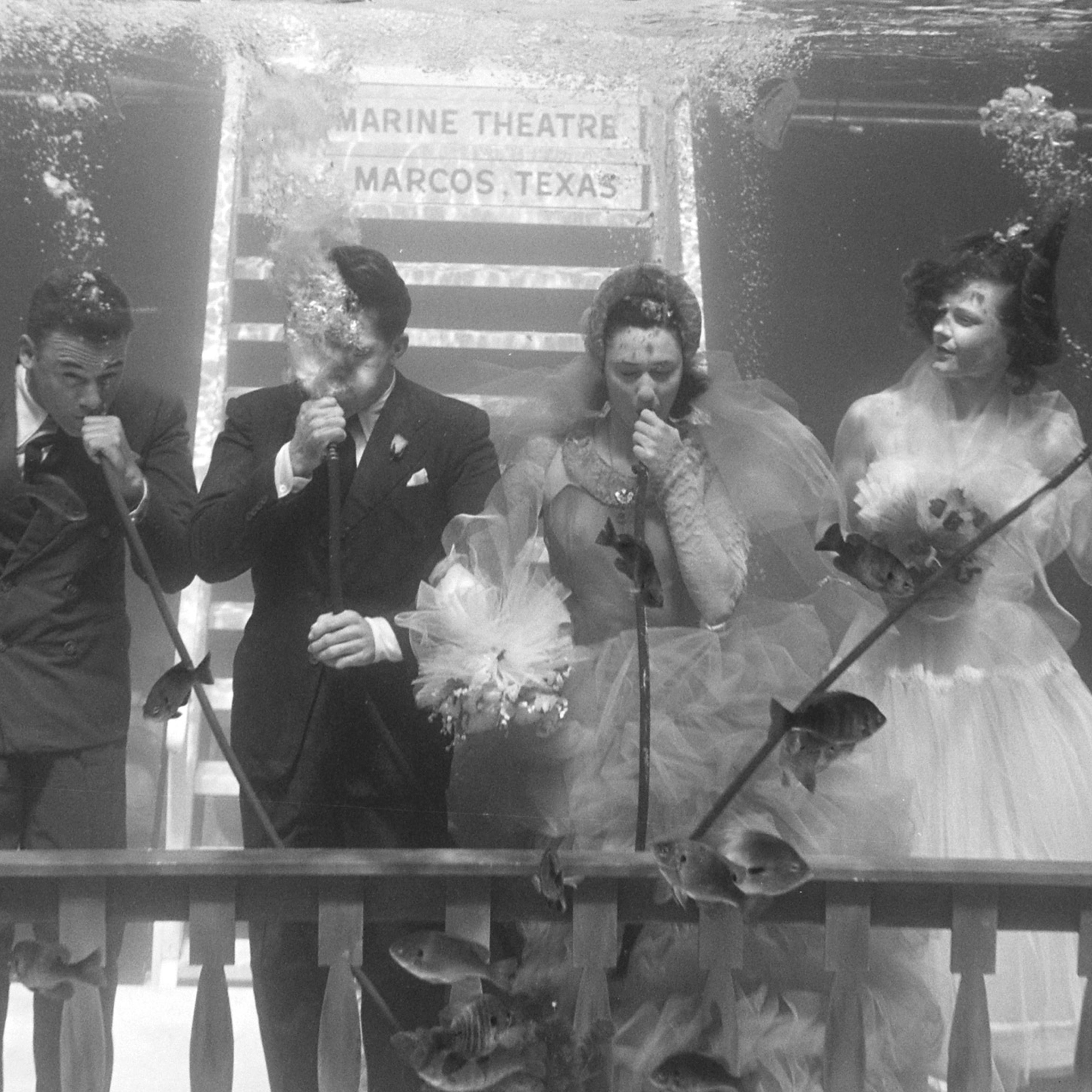 The wedding party during a rehearsal ceremony.