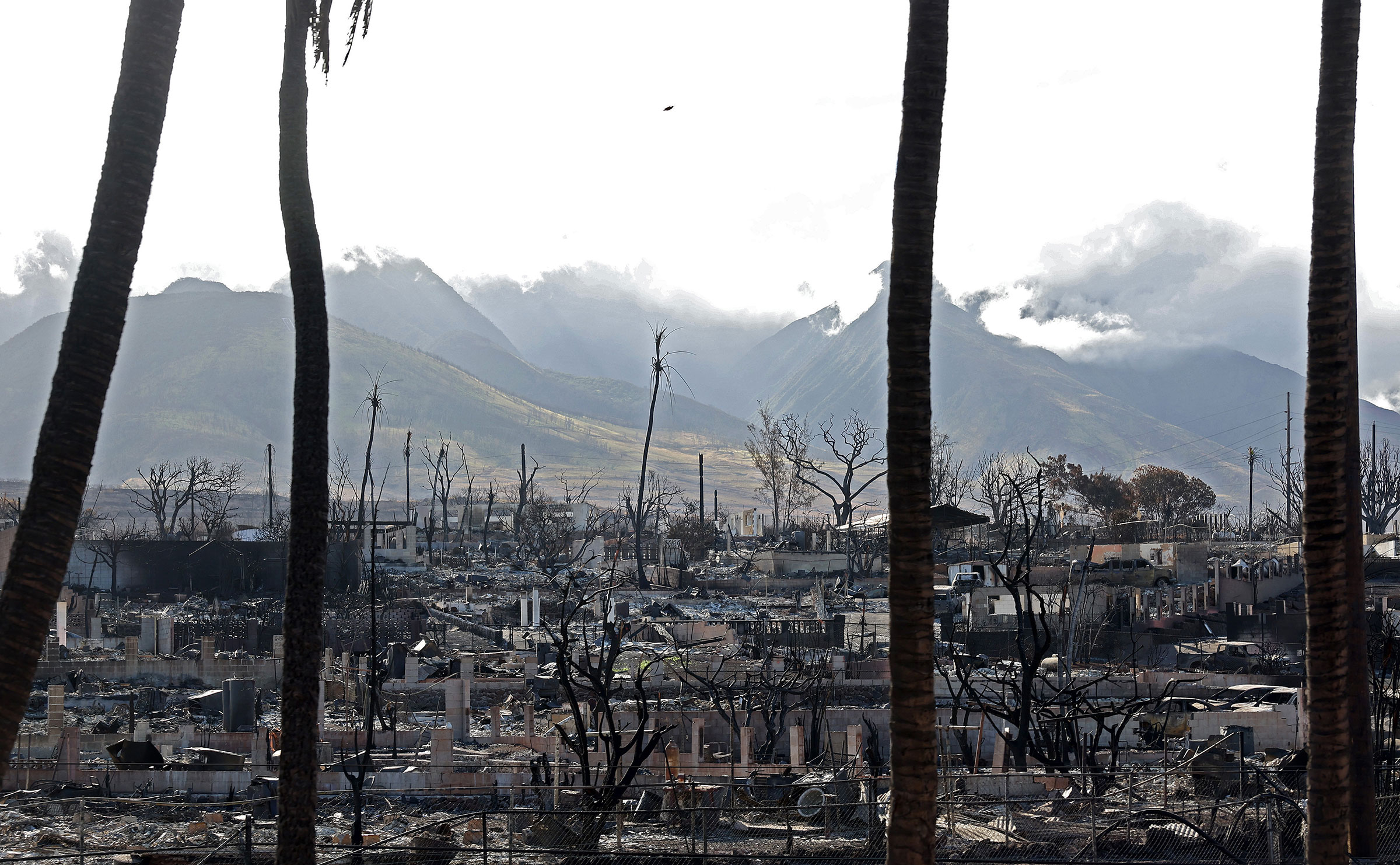 A wide view of burned down homes and trees with expansive mountains behind it with clouds rolling over them
