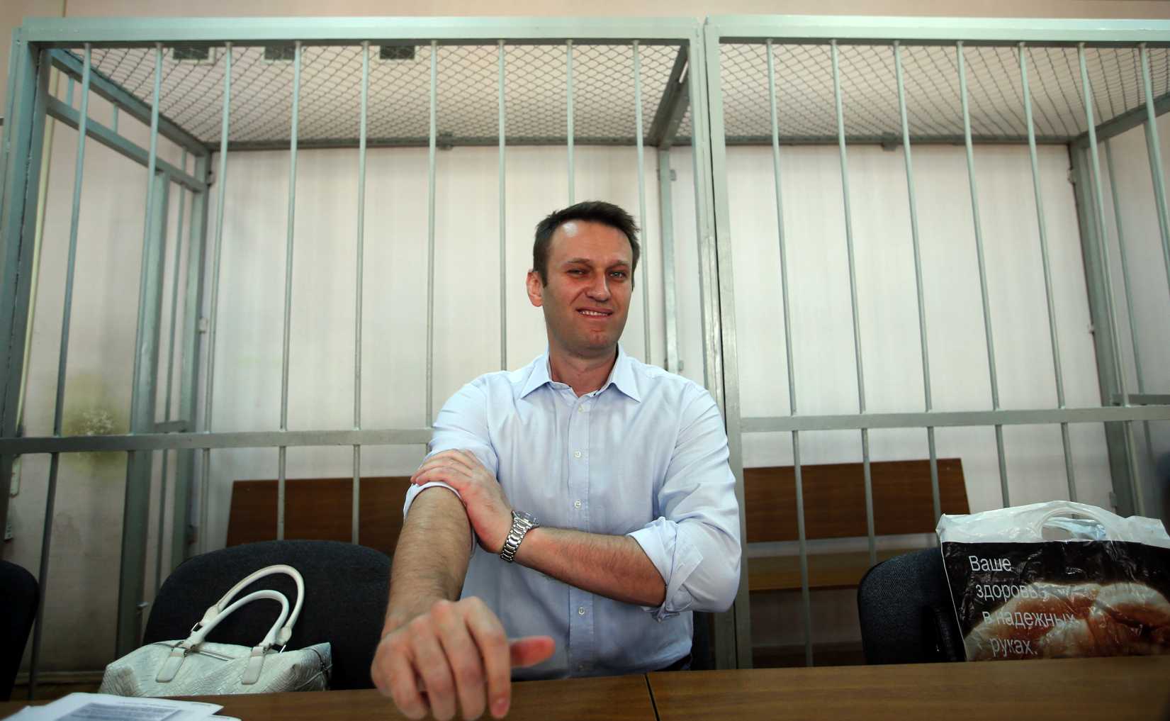 Russian opposition leader and anti-corruption blogger Alexei Navalny sits before a court hearing in Moscow, August 14, 2014.
