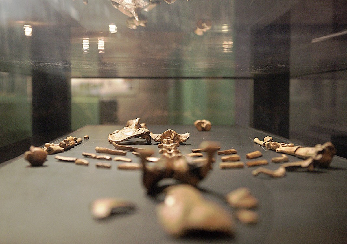 ETHIOPIA-ARCHAEOLOGY-LUCY