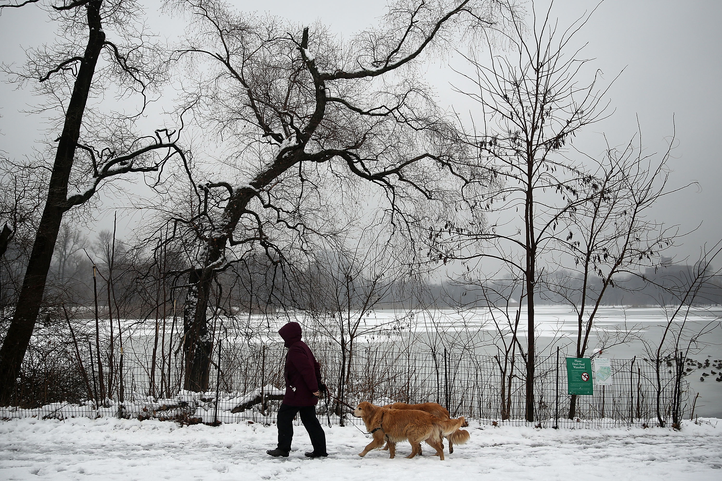 Nor'easter Storm Brings Light Snow To New York