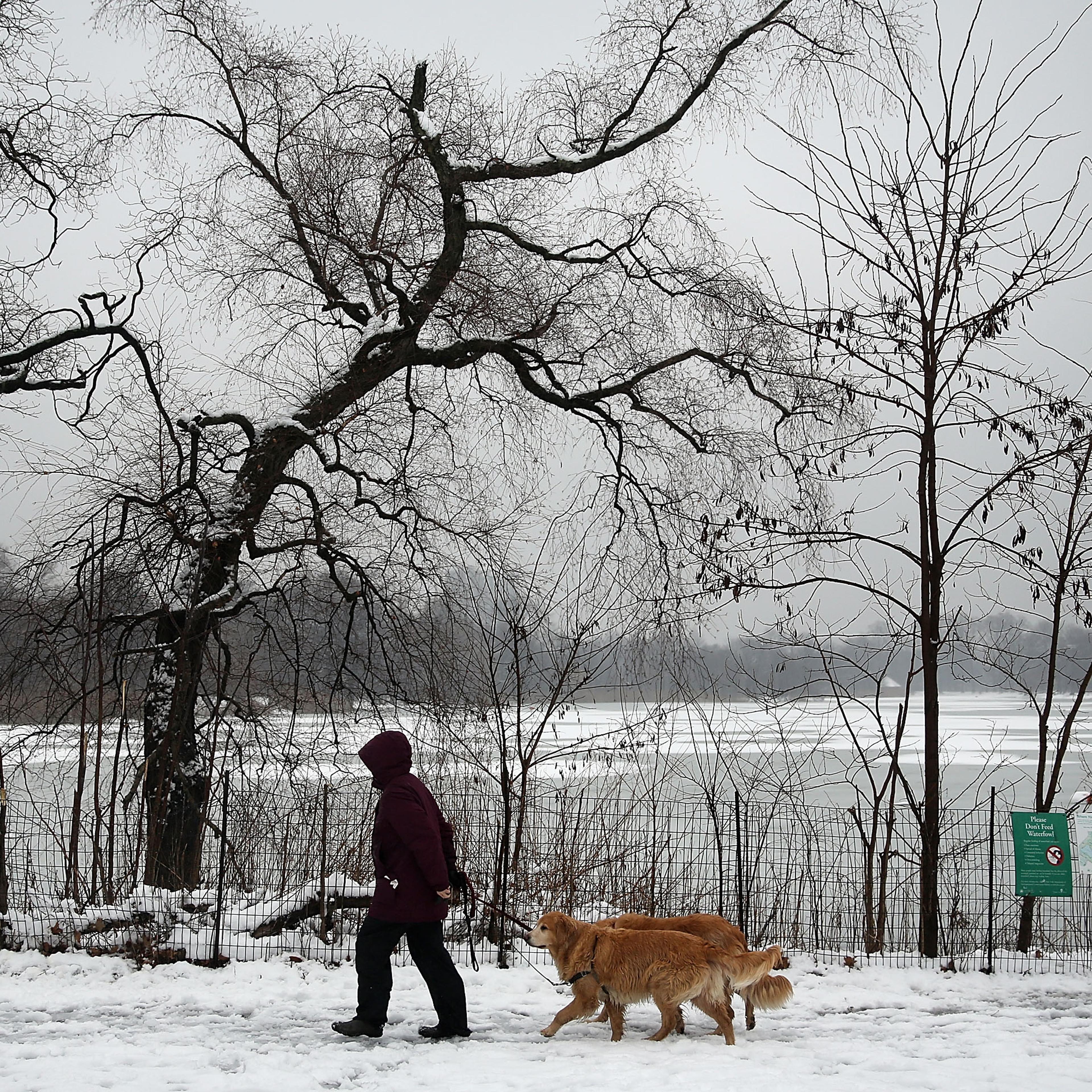 Nor'easter Storm Brings Light Snow To New York