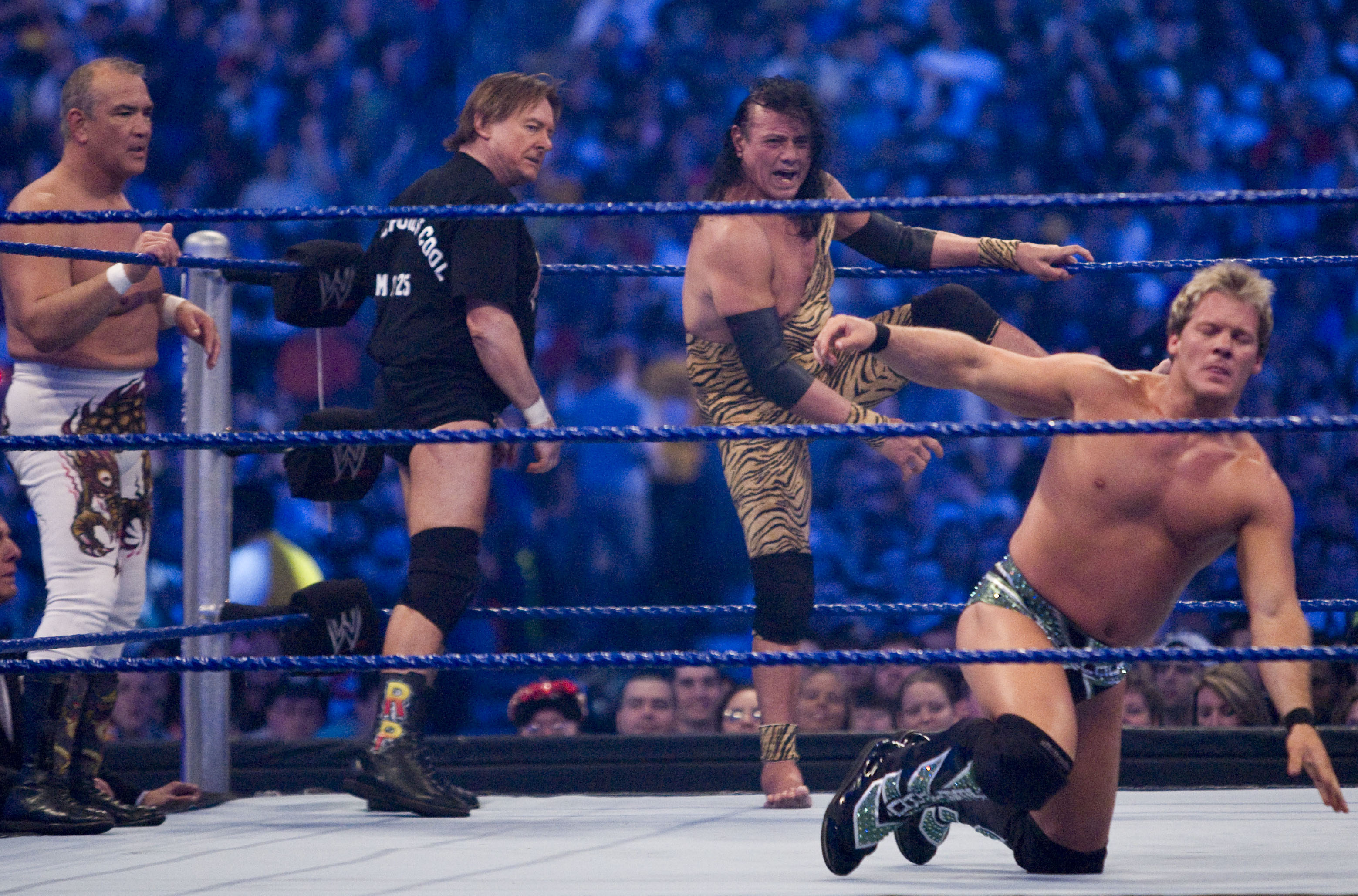 WrestleMania 25