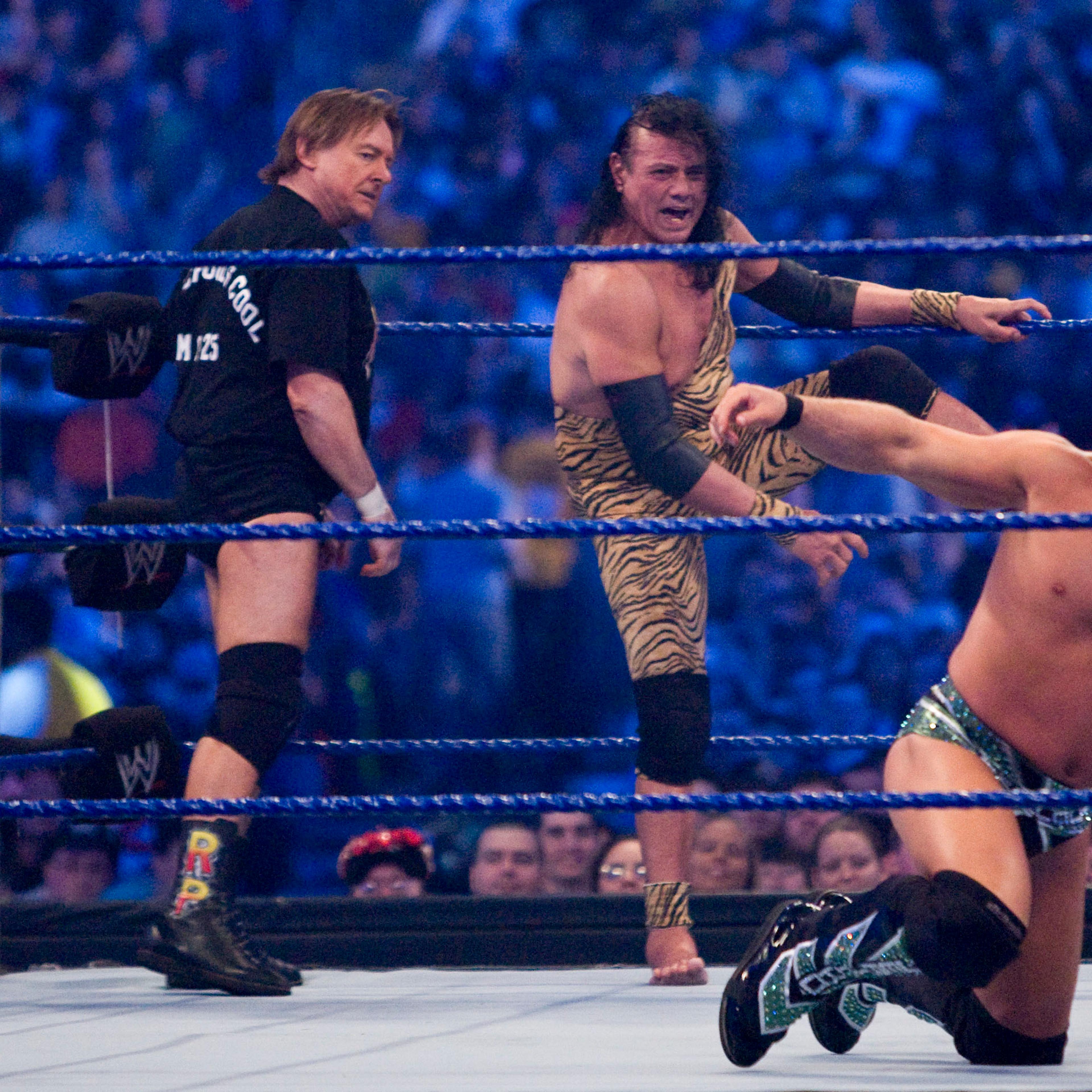 WrestleMania 25