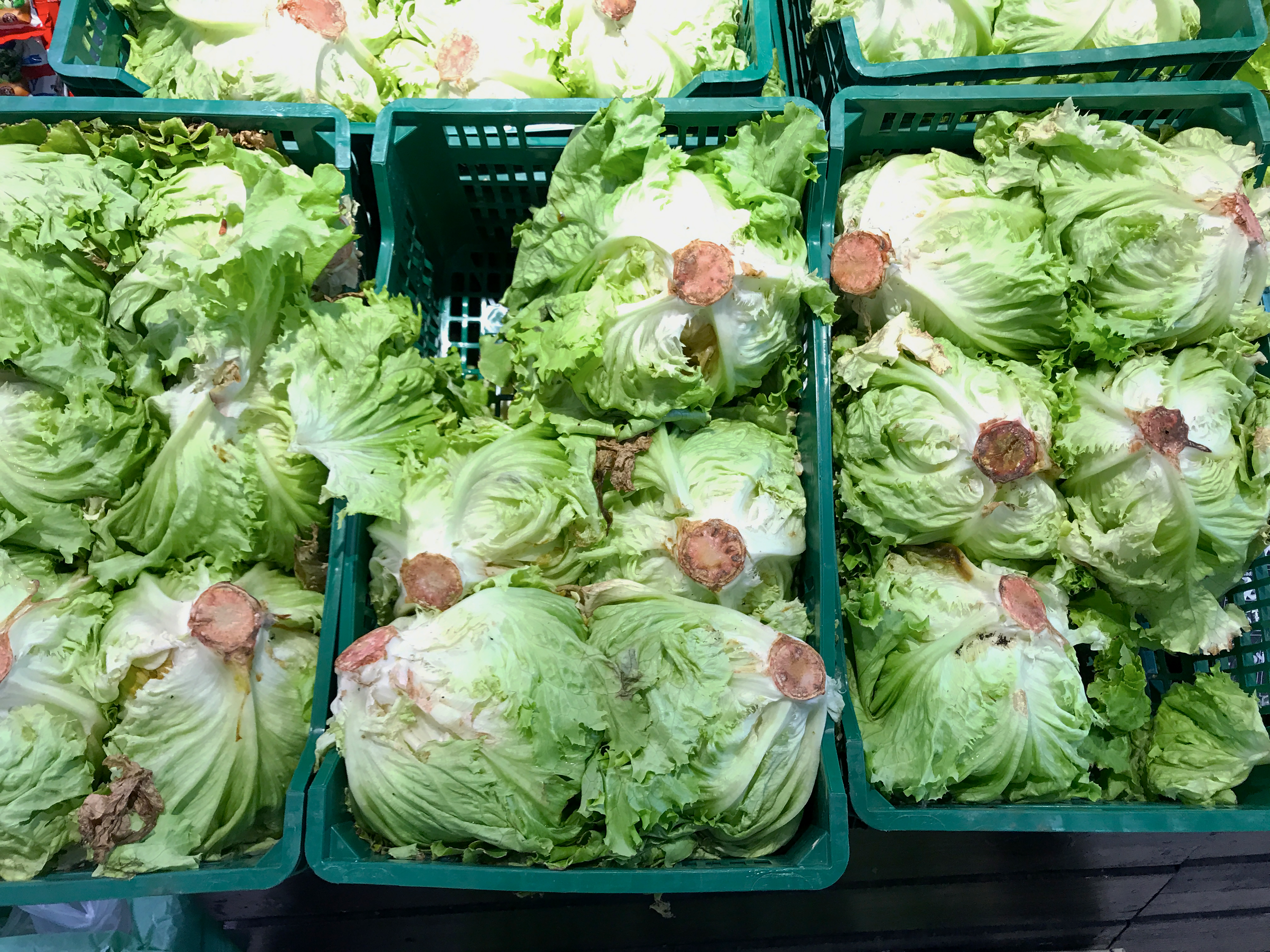 Lettuces at supermarket