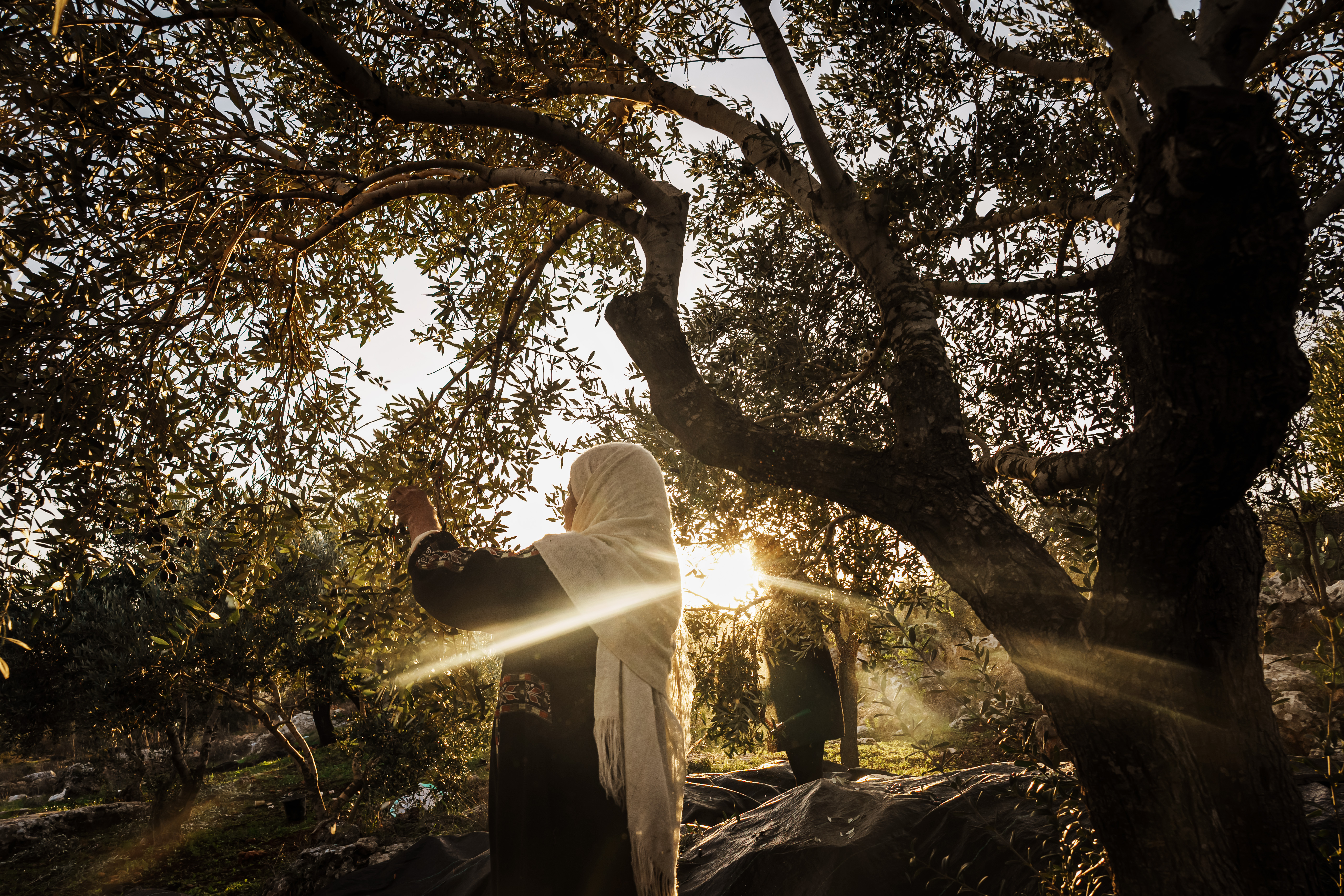 The Unimaginable Trauma&mdash;And Resilience&mdash;of the People of Gaza